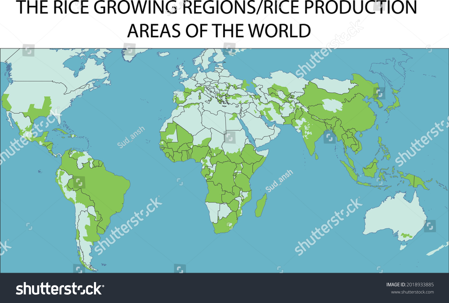 2018933885 Shutterstock 2018933885-shutterstock