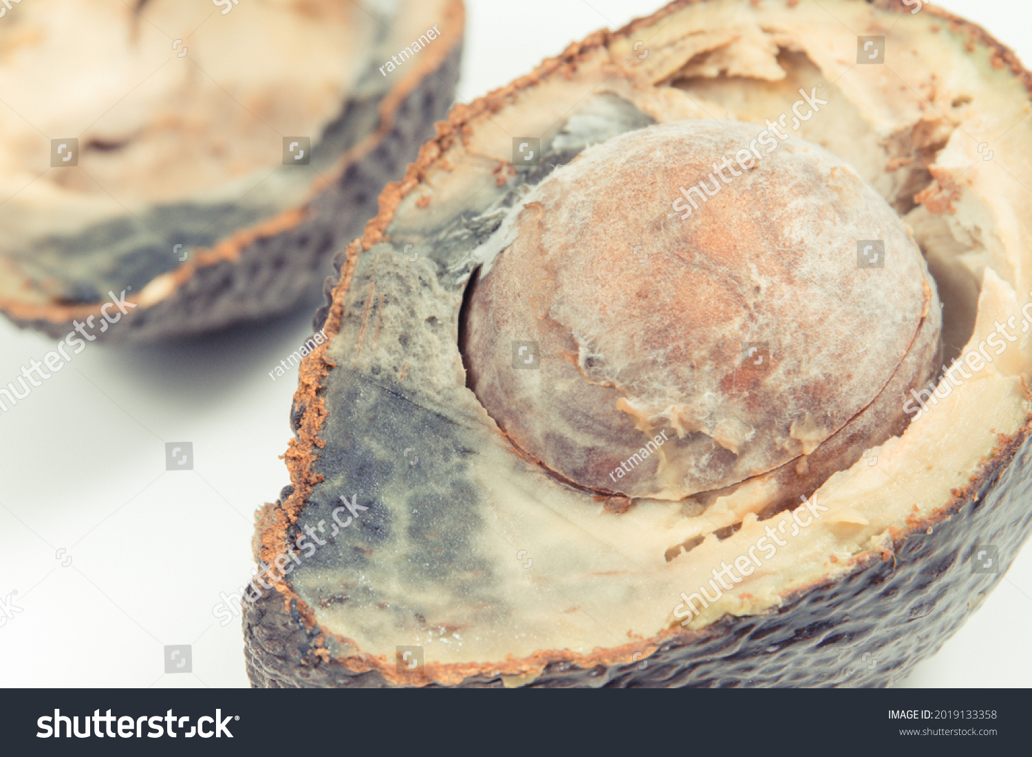 Old Moldy Avocado Unhealthy Disgusting Fruit Stock Photo 2019133358