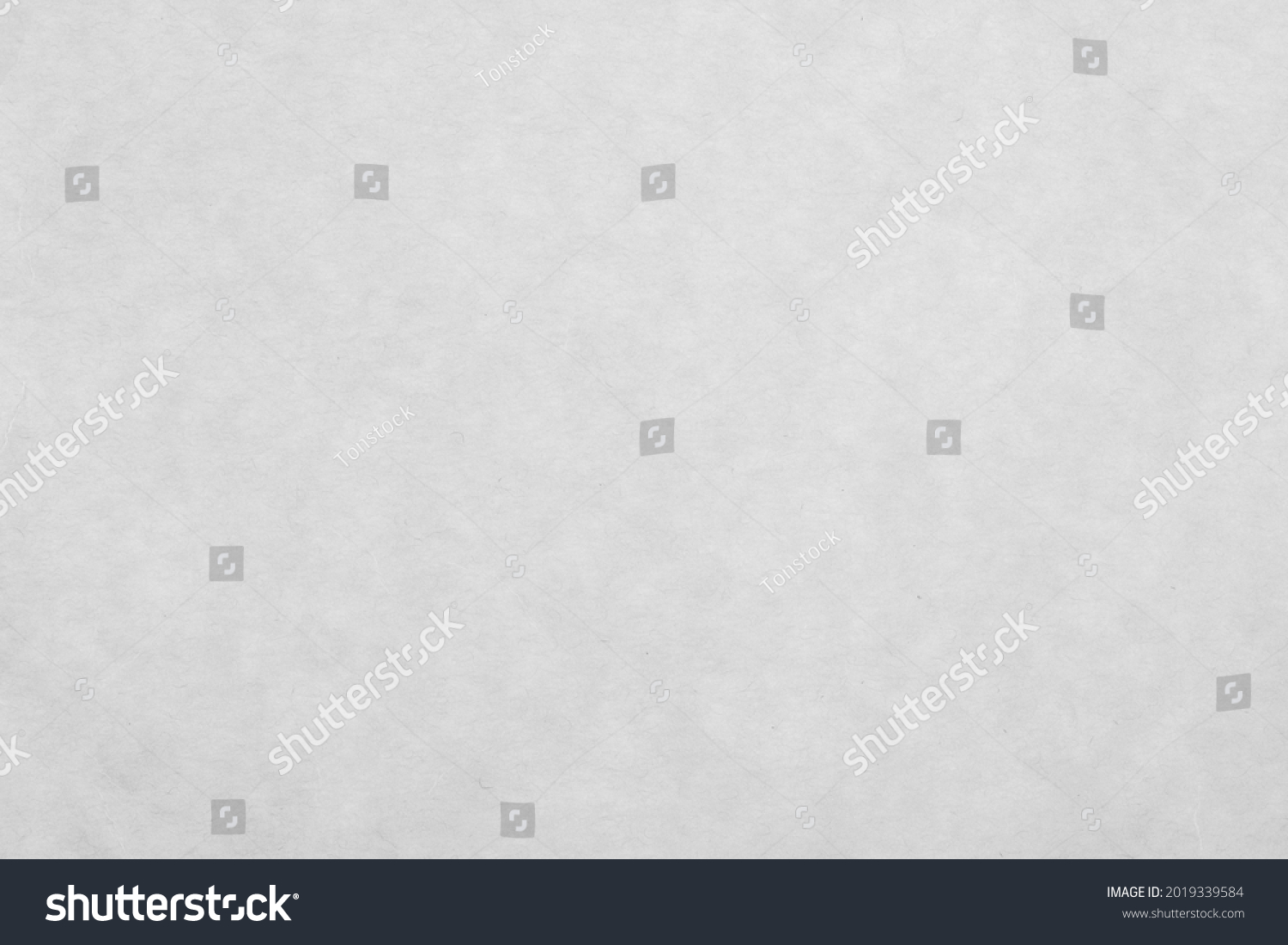 White Cardboard Paper Look Like White Stock Photo 2019339584 | Shutterstock