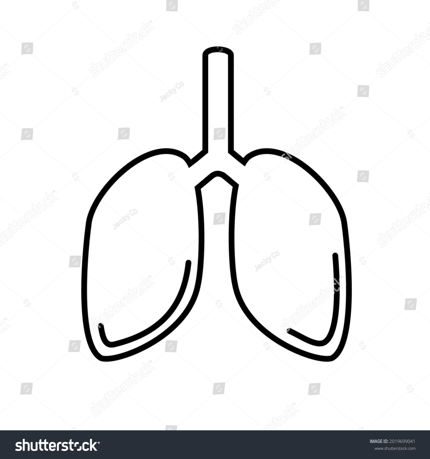 Lung Line Drawing On White Background Stock Vector (Royalty Free ...