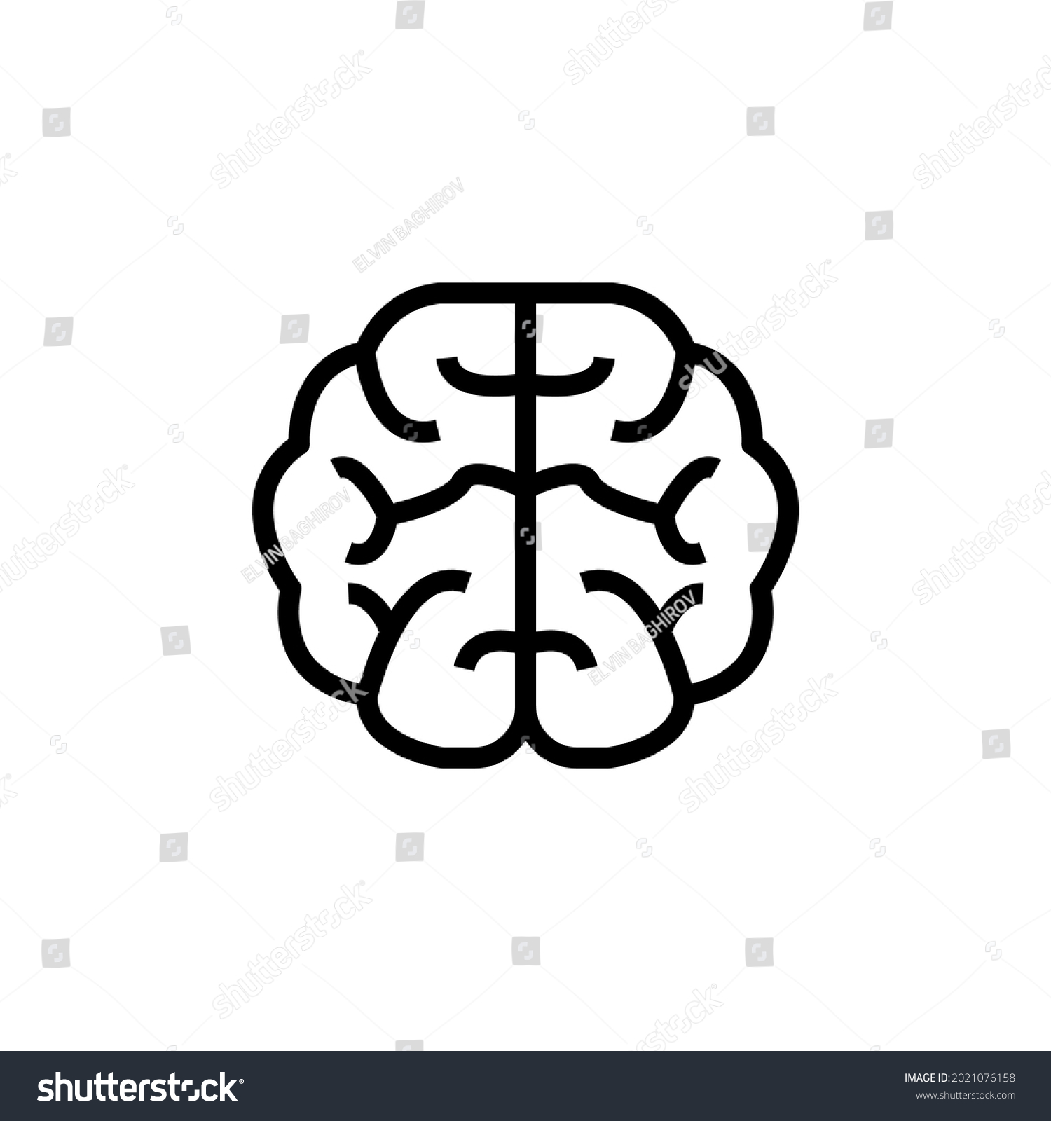 Human Brain Three Planes Medical Genetics Stock Vector (Royalty Free ...