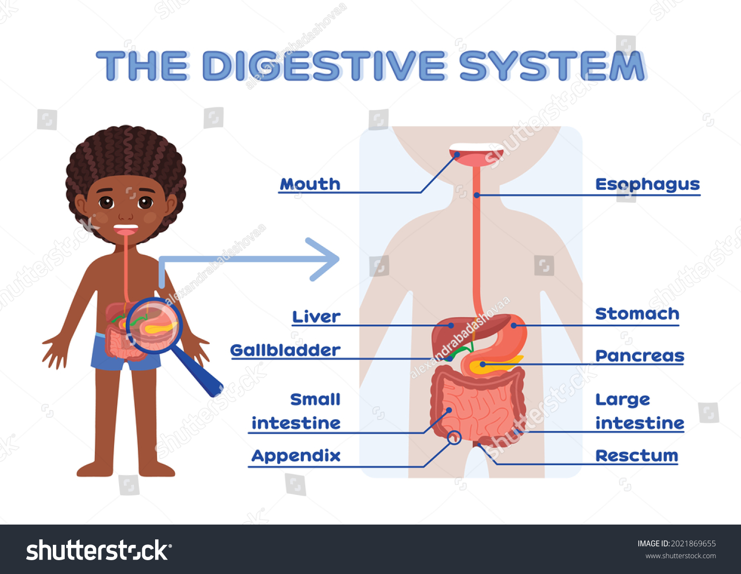 Cute Afro Black Boy Digestive System Stock Vector (royalty Free 