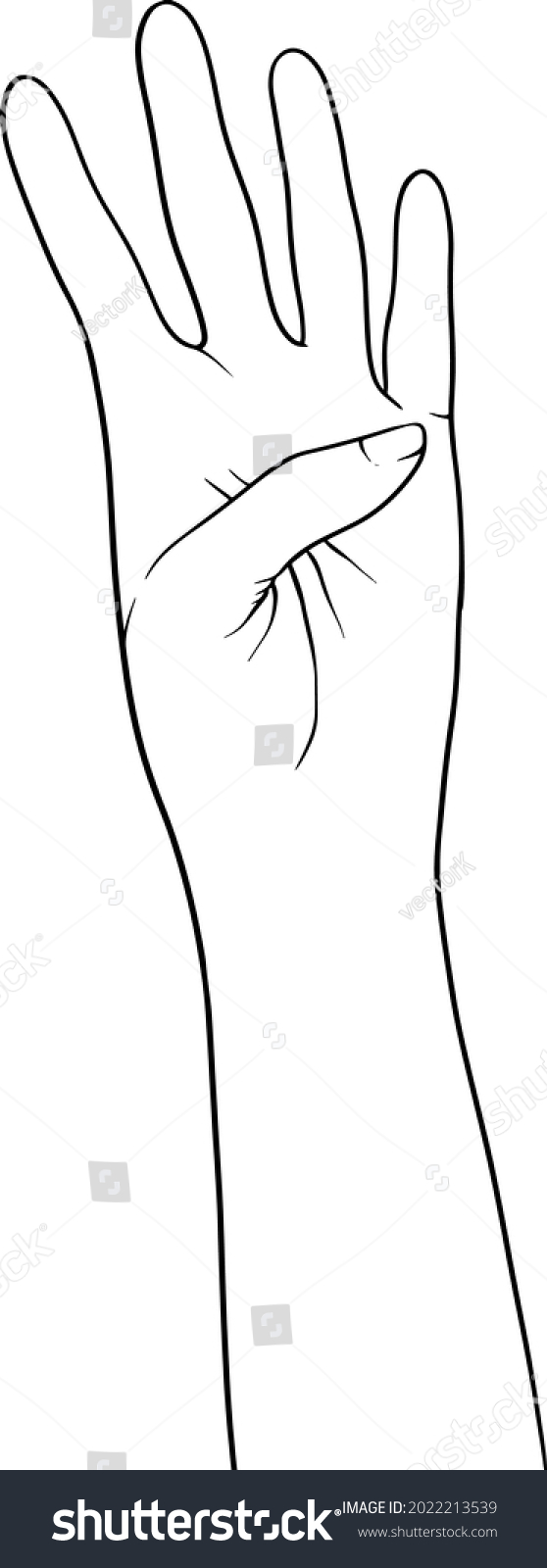 Sketch Hands Drawn Concept Design Hand Stock Vector (royalty Free 