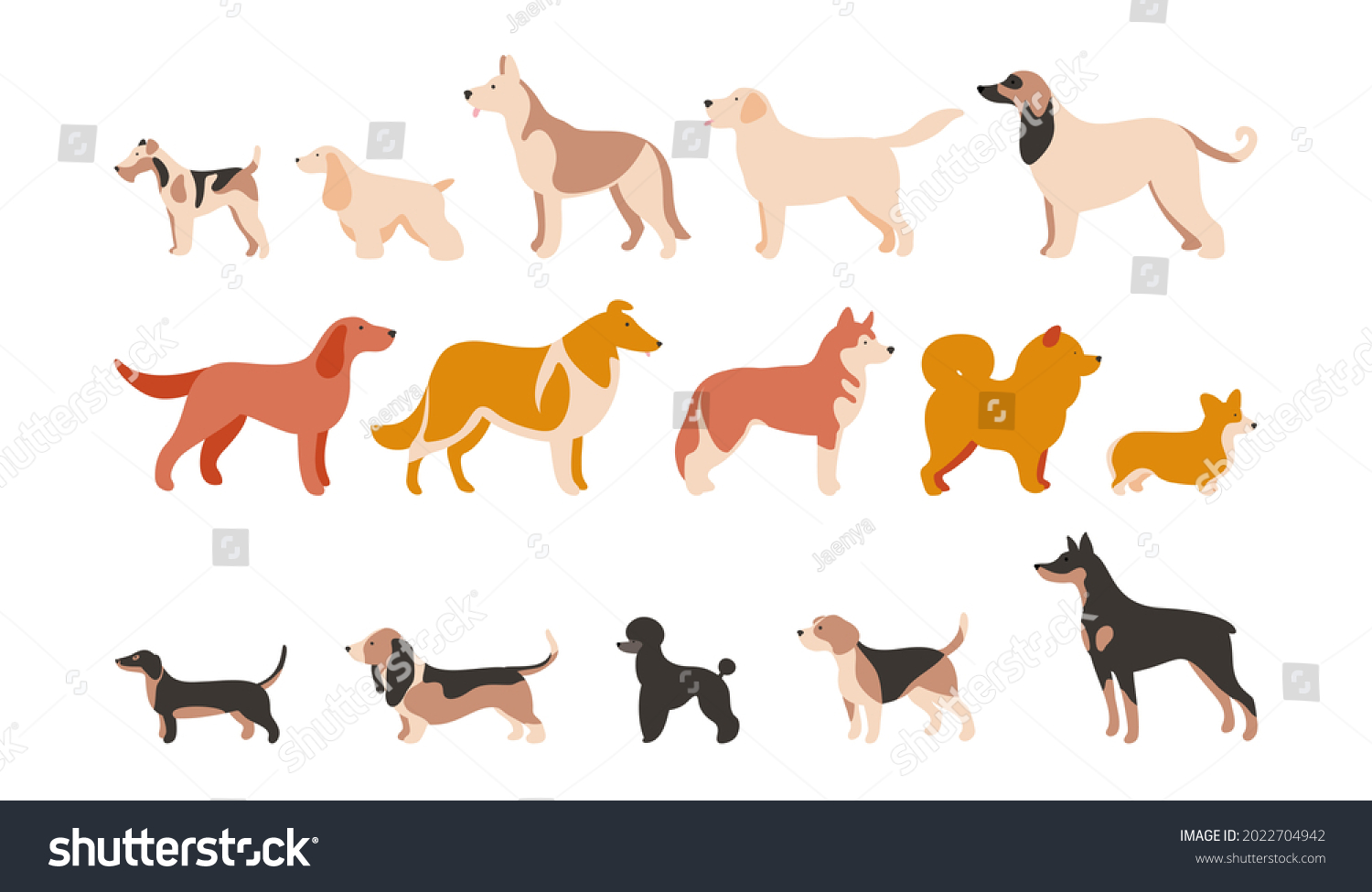 Set Isolated Vector Illustrations Different Dog Stock Vector (Royalty ...