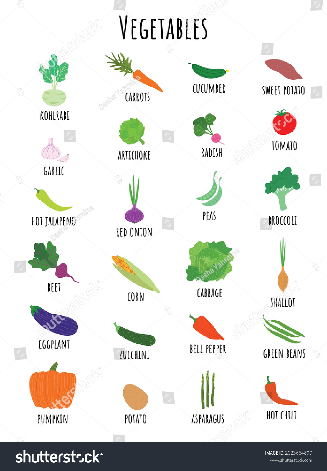 Vegetable Vocabulary Set Collection Clip Art Stock Vector (Royalty Free ...