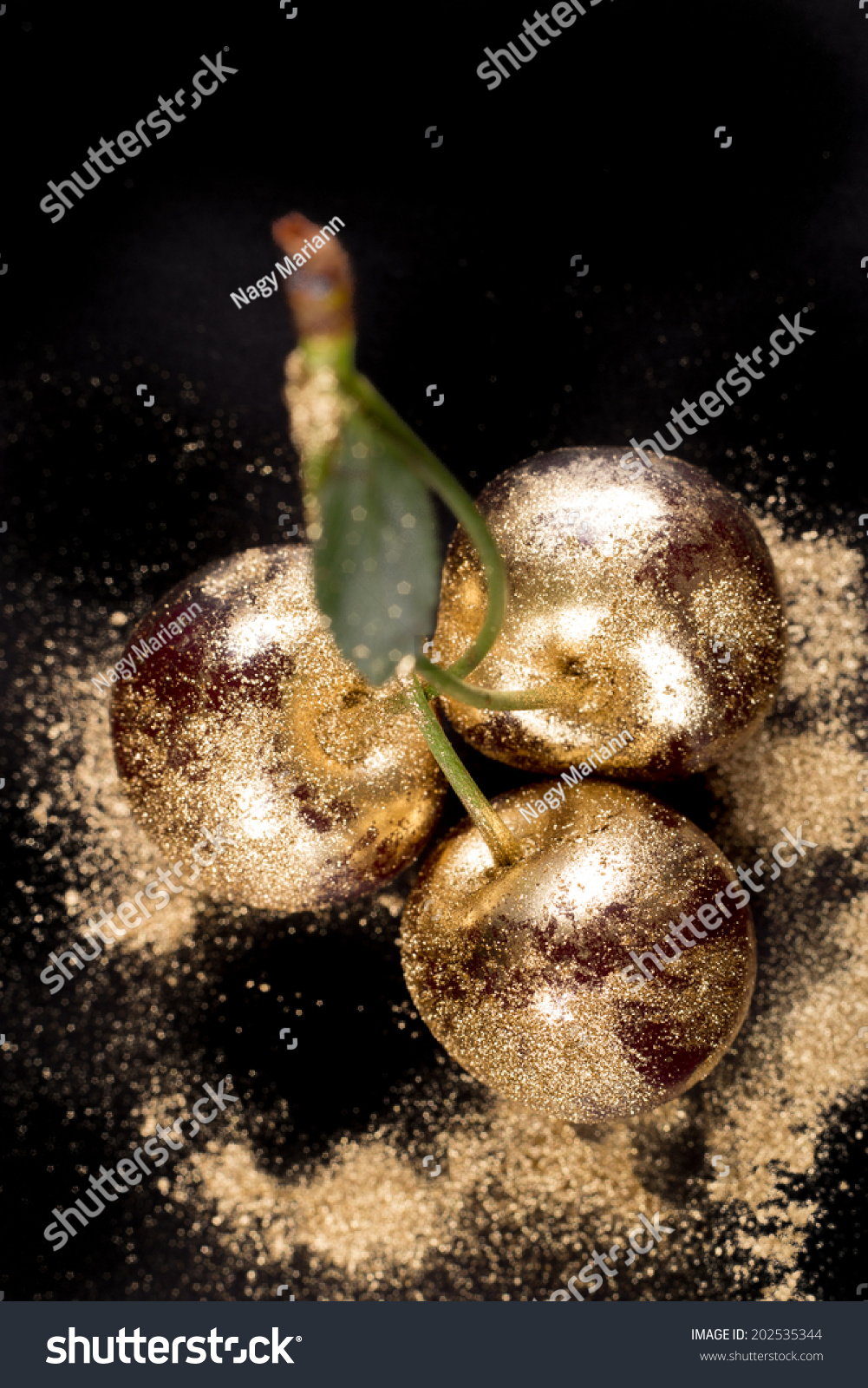 Gold Fruits On Black Background Close Stock Photo 202535344 | Shutterstock