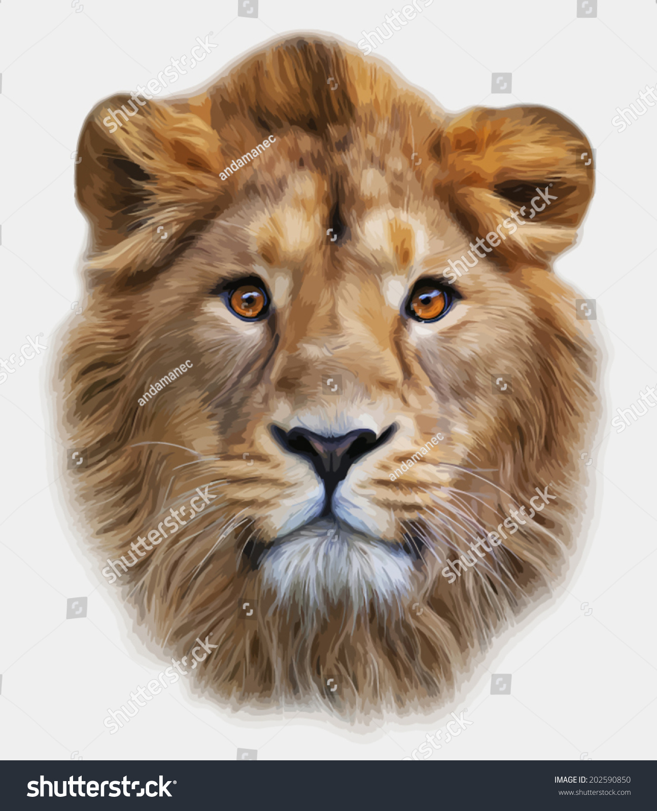 18,750 Lion Face White Background Stock Vectors, Images & Vector Art