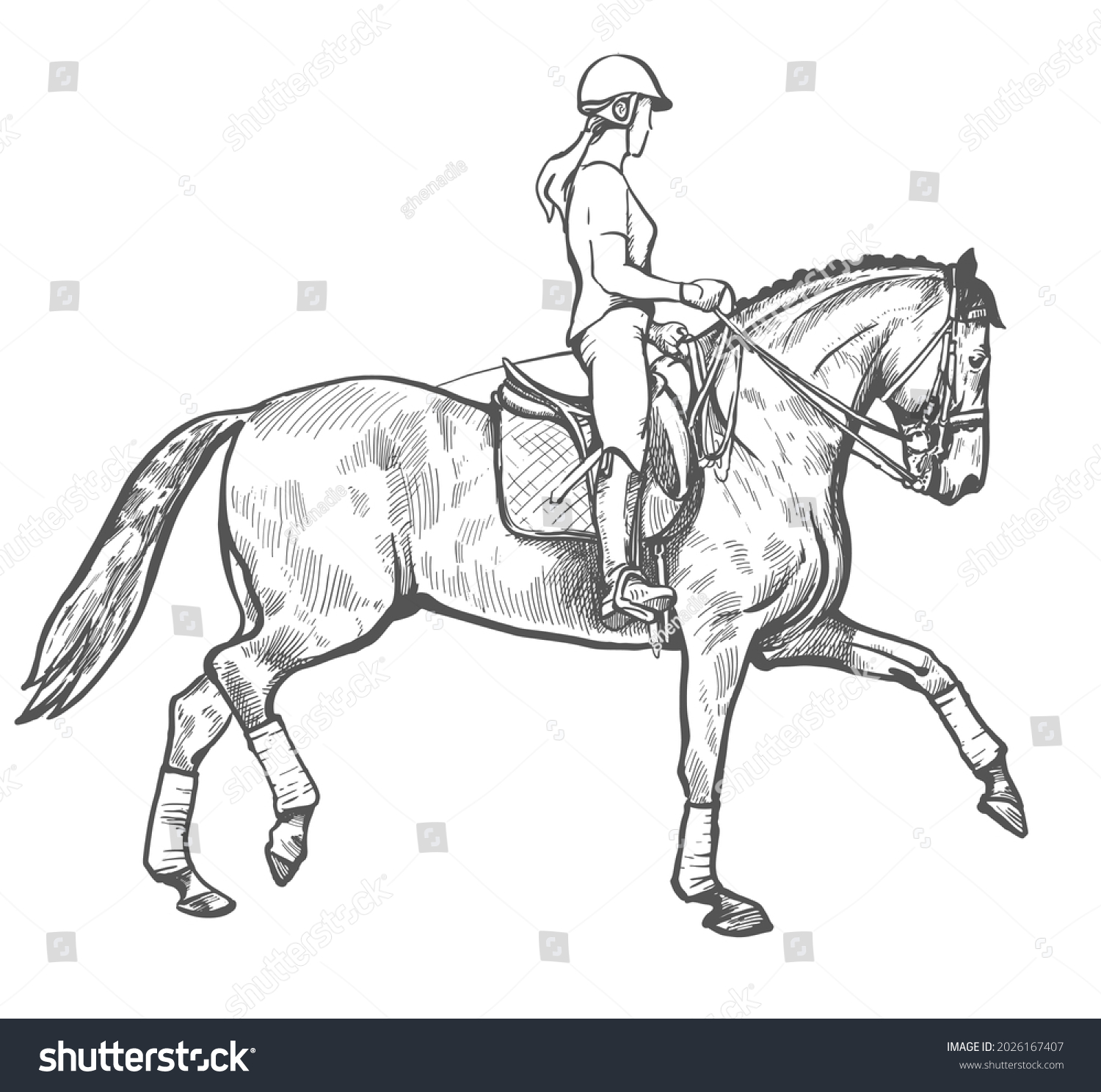 Упражнения на лошади для всадника