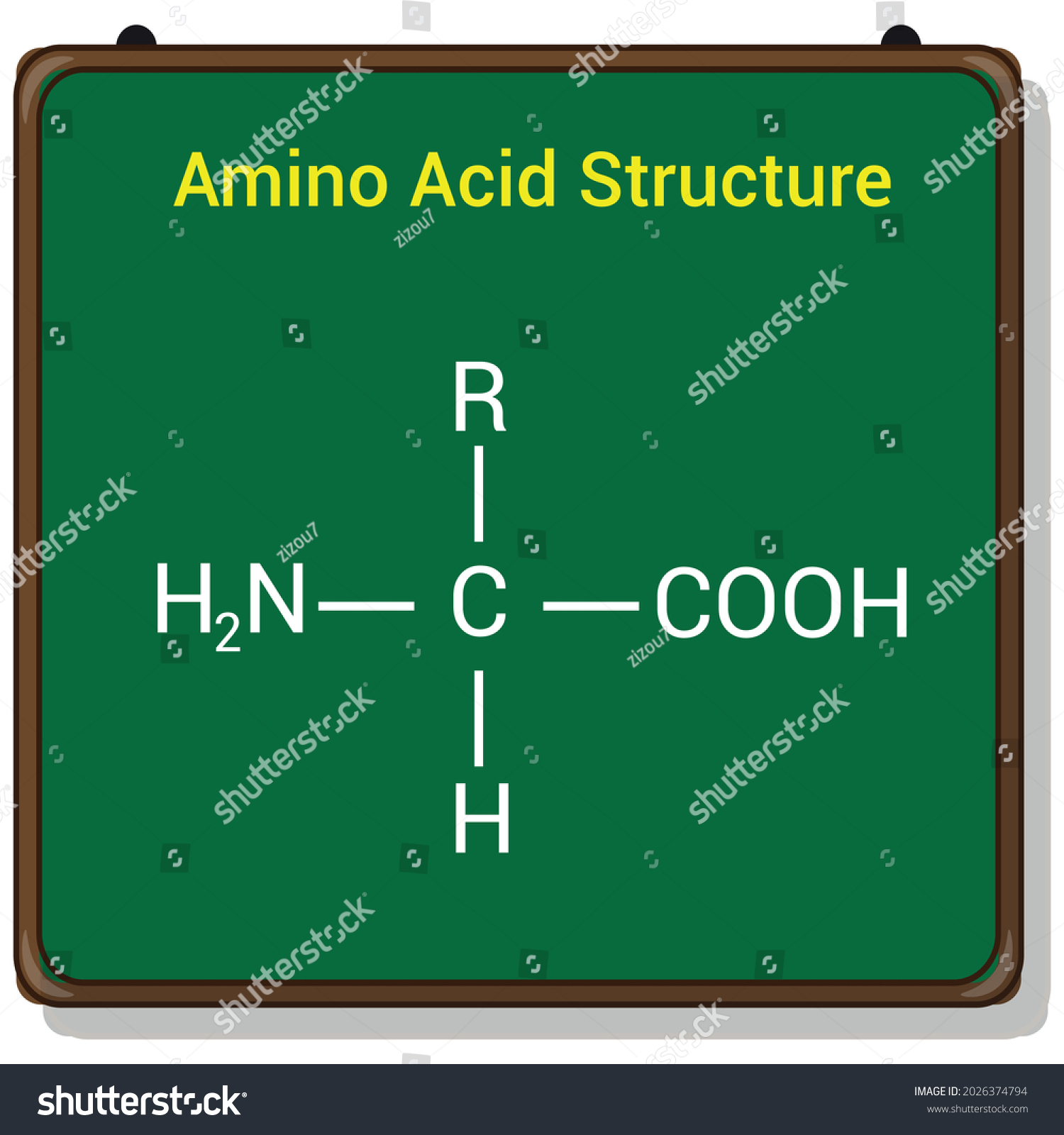 structure of an amino acid