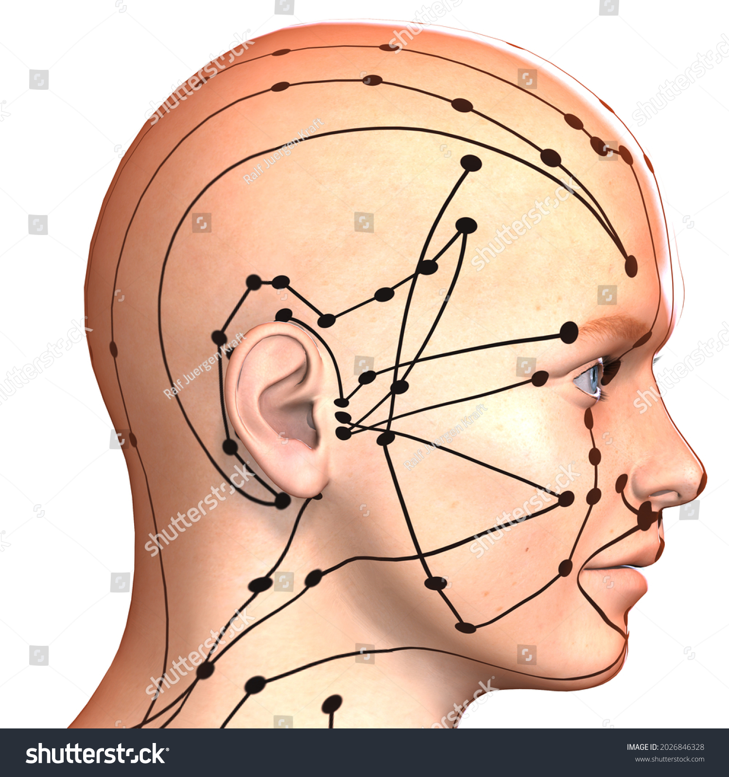 3dillustration Eastern Asian Acupuncture Acupressure Points Stock Illustration 2026846328 2887