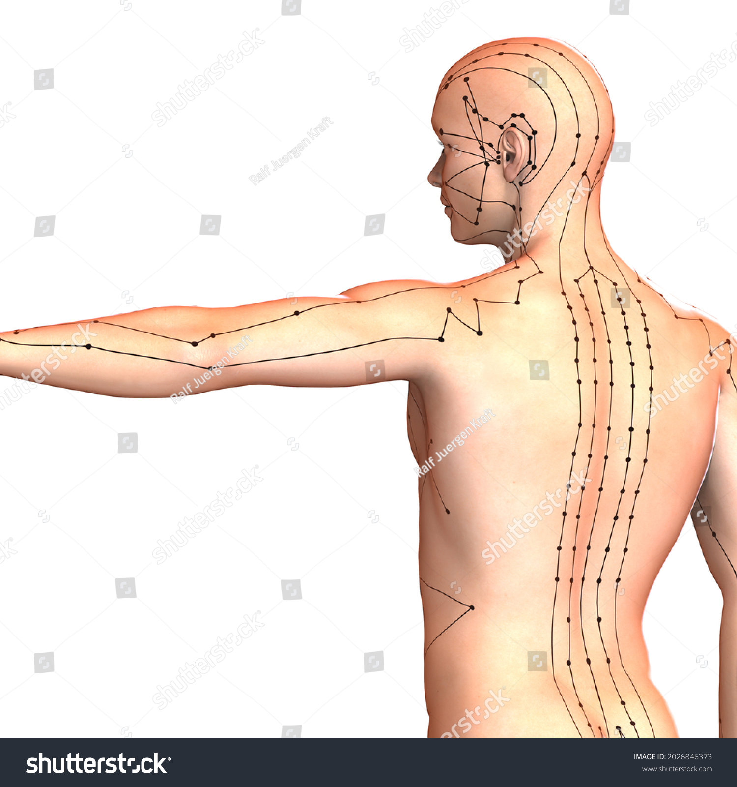 3dillustration Eastern Asian Acupuncture Acupressure Points Stock Illustration 2026846373 5400