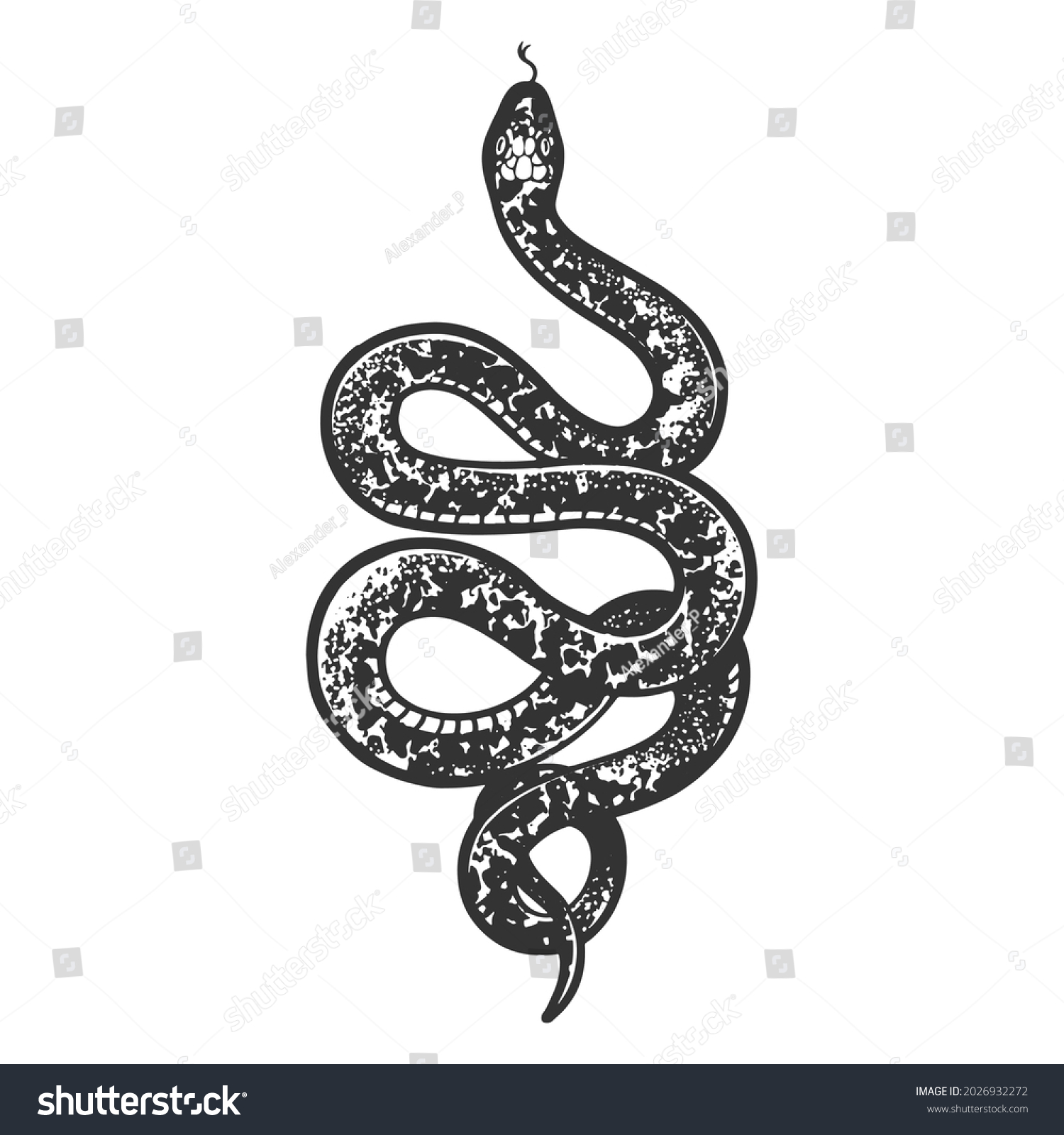 Snake Tattoo Sketch Engraving Vector Illustration Stock Vector (royalty 