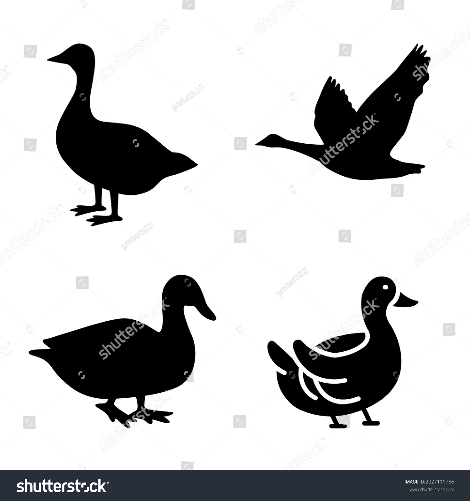 Collection Duck Goose Silhouette Vector Png Stock Vector (Royalty Free ...