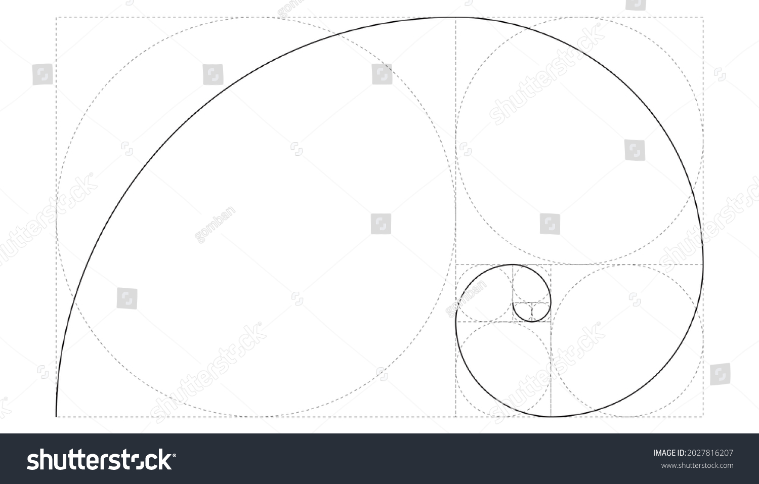 Golden Ratio Lines Black On White Stock Vector (Royalty Free ...