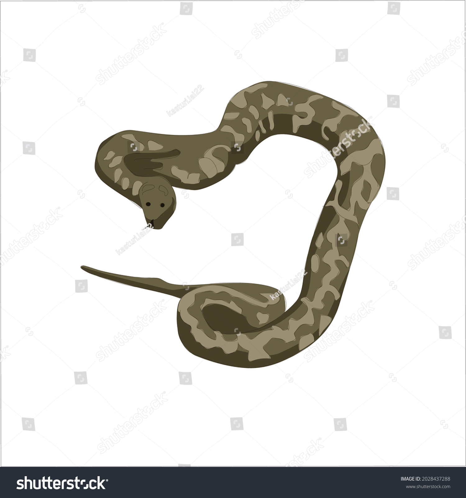 Python Color Vector Clipart Design Stock Vector (Royalty Free ...