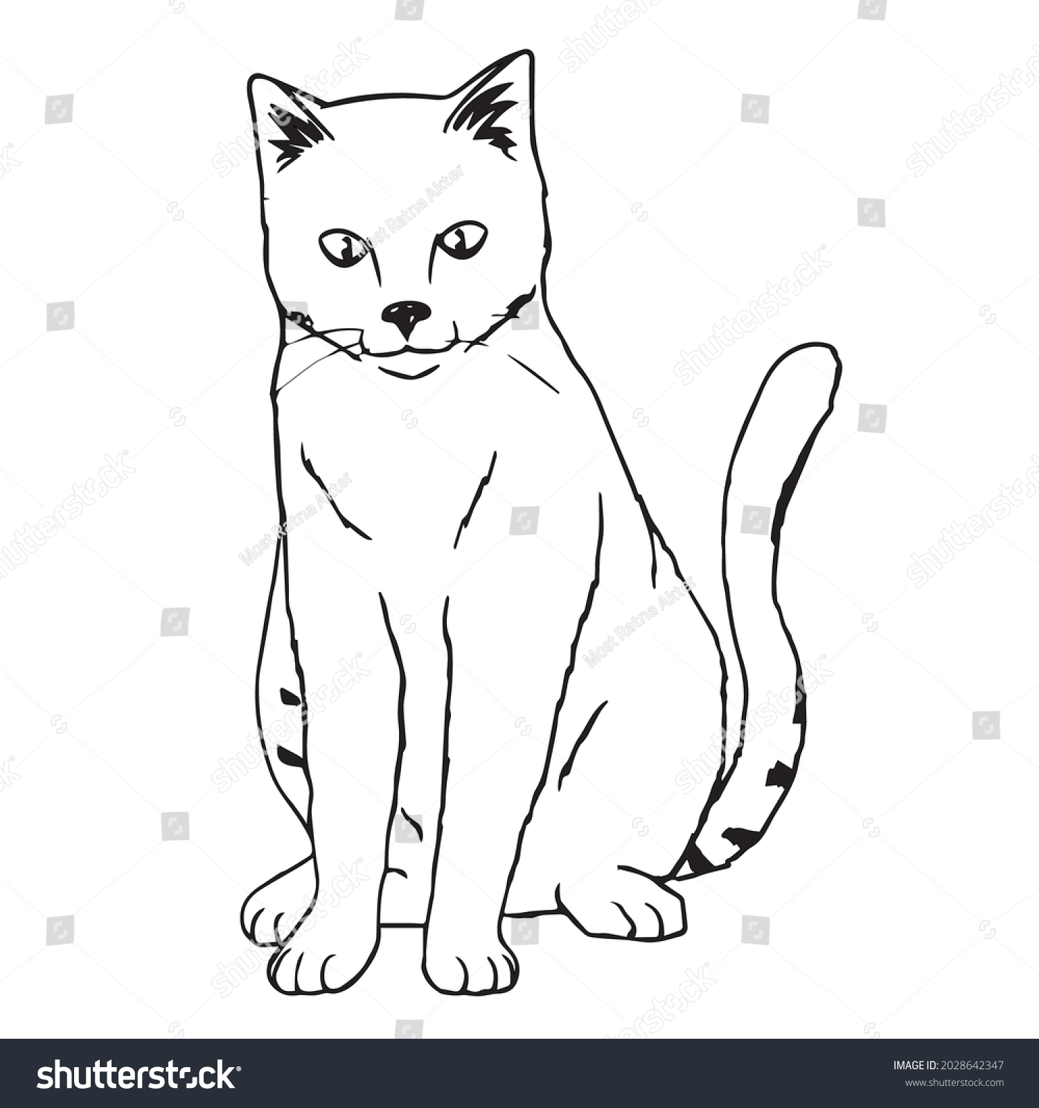 This Funny Crazyinsanecoloring Cat Example Coloring Stock Vector 