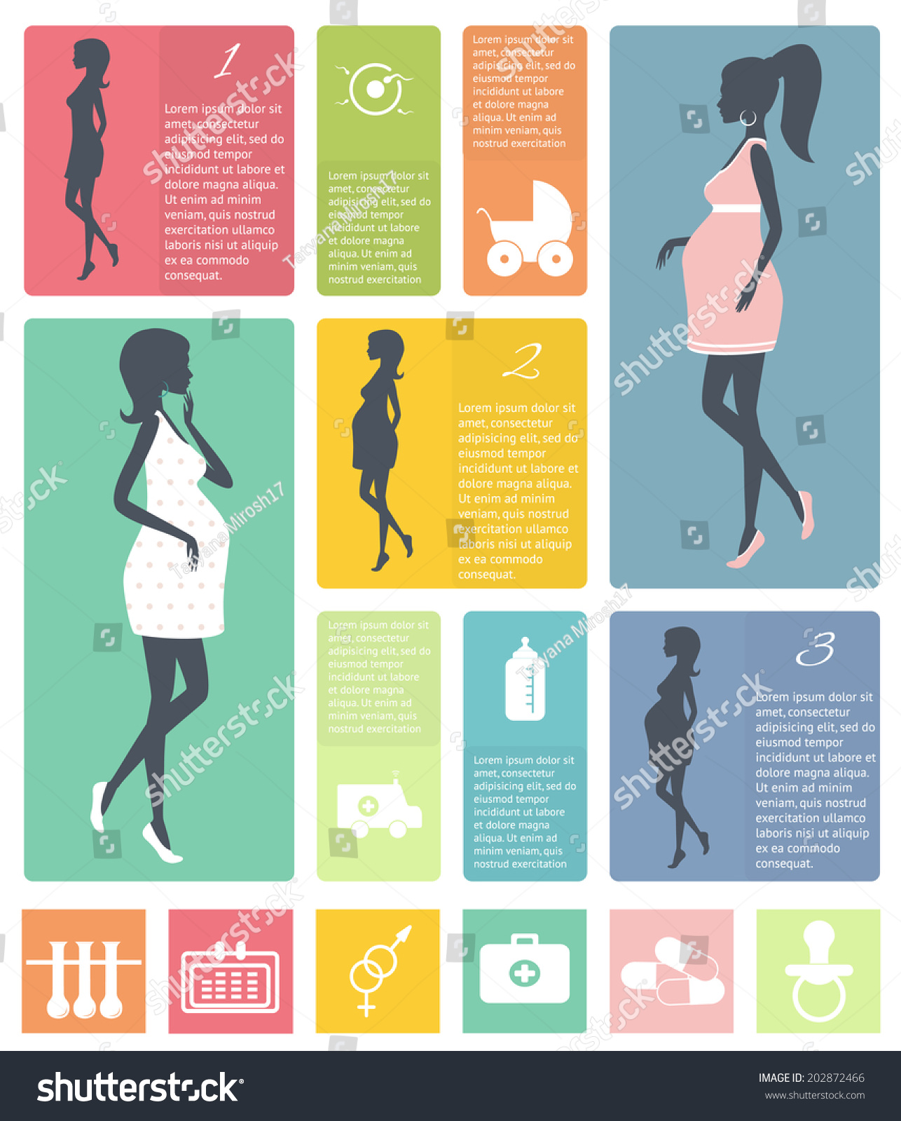 Pregnancy Birth Infographics Pregnancy Stages Icon 库存矢量图（免版税）202872466 Shutterstock 