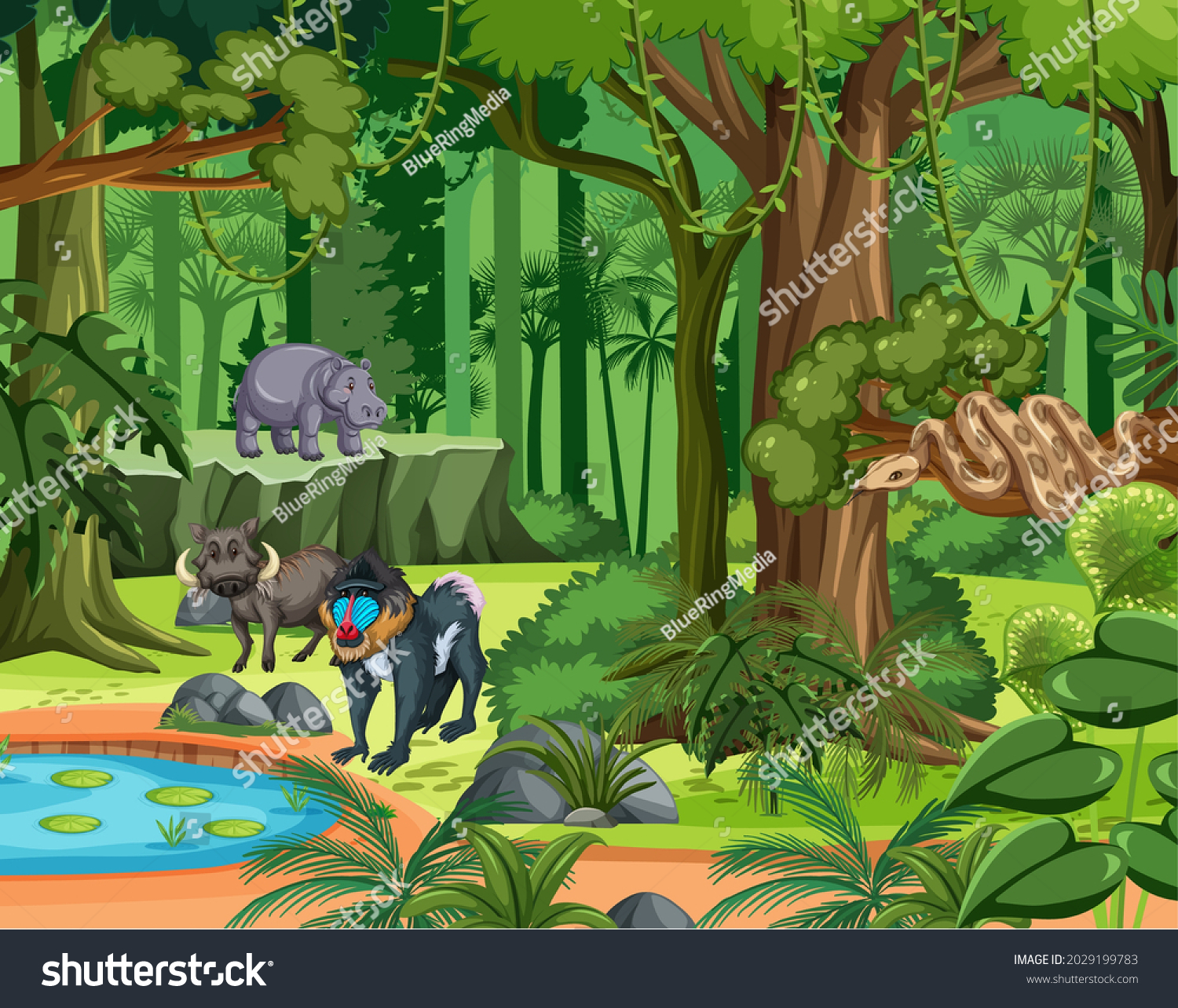 Tropical Rainforest Scene Various Wild Animals Stock Vector (Royalty ...