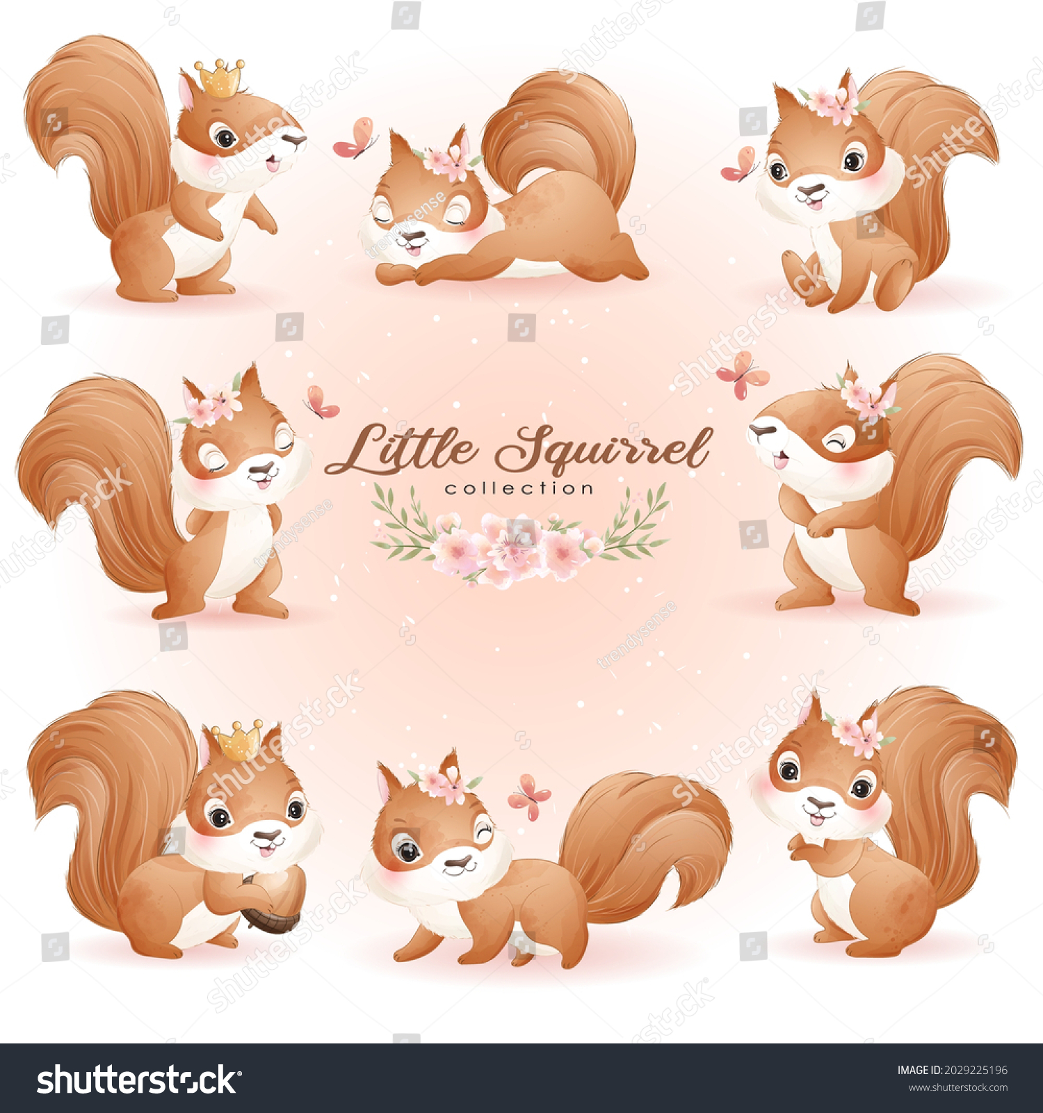 cute baby squirrel cartoon