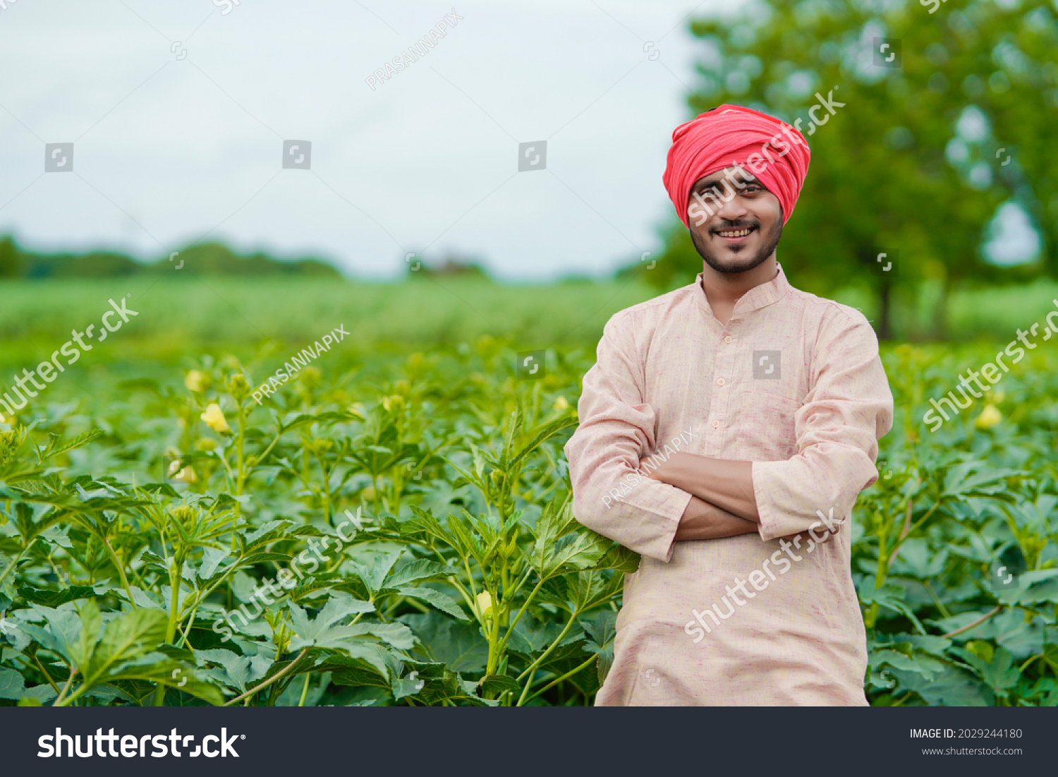 Young Indian Farmer Green Agriculture Field Stock Photo 2029244180 ...