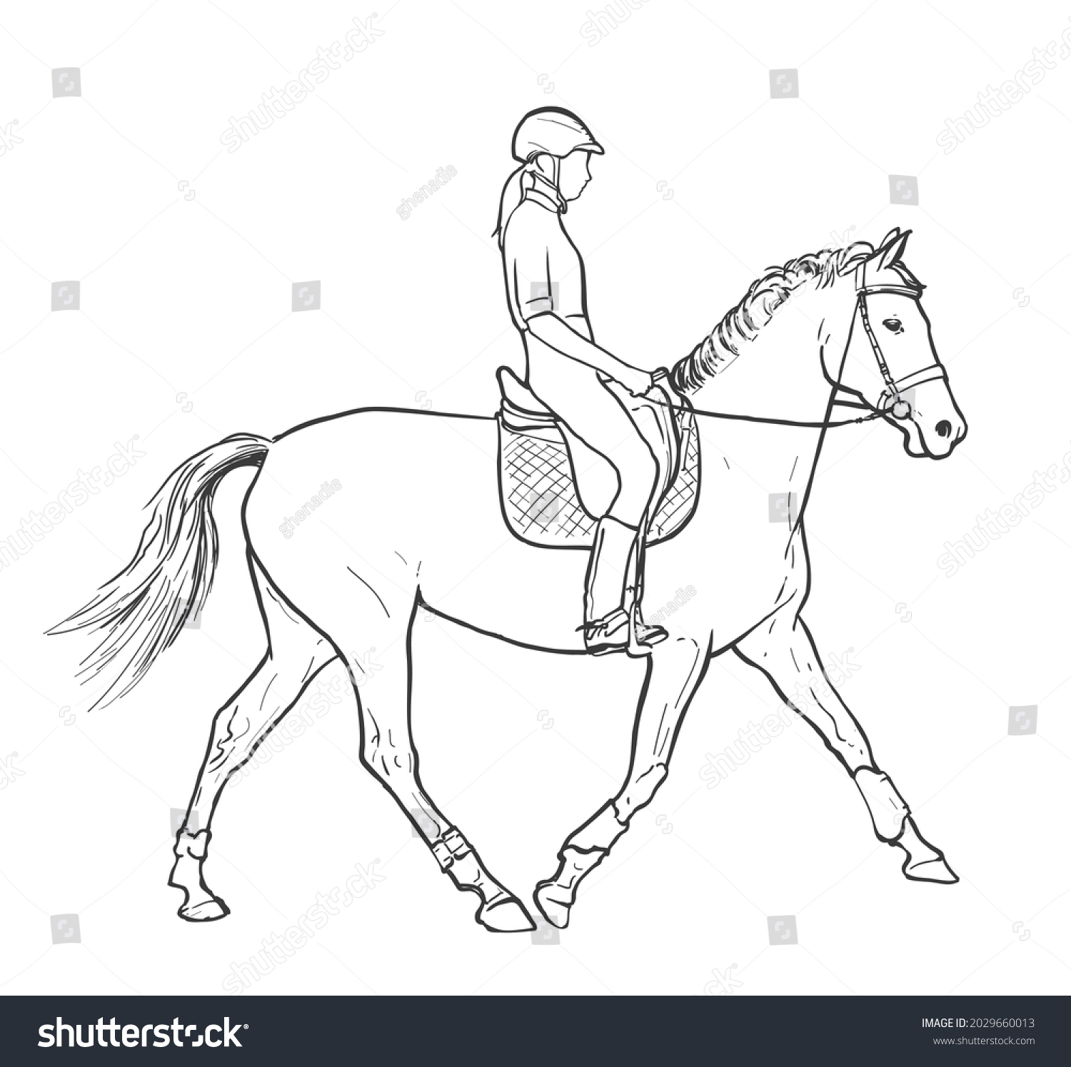 Young Woman Horse Rider Performing Equine Stock Vector (Royalty Free ...