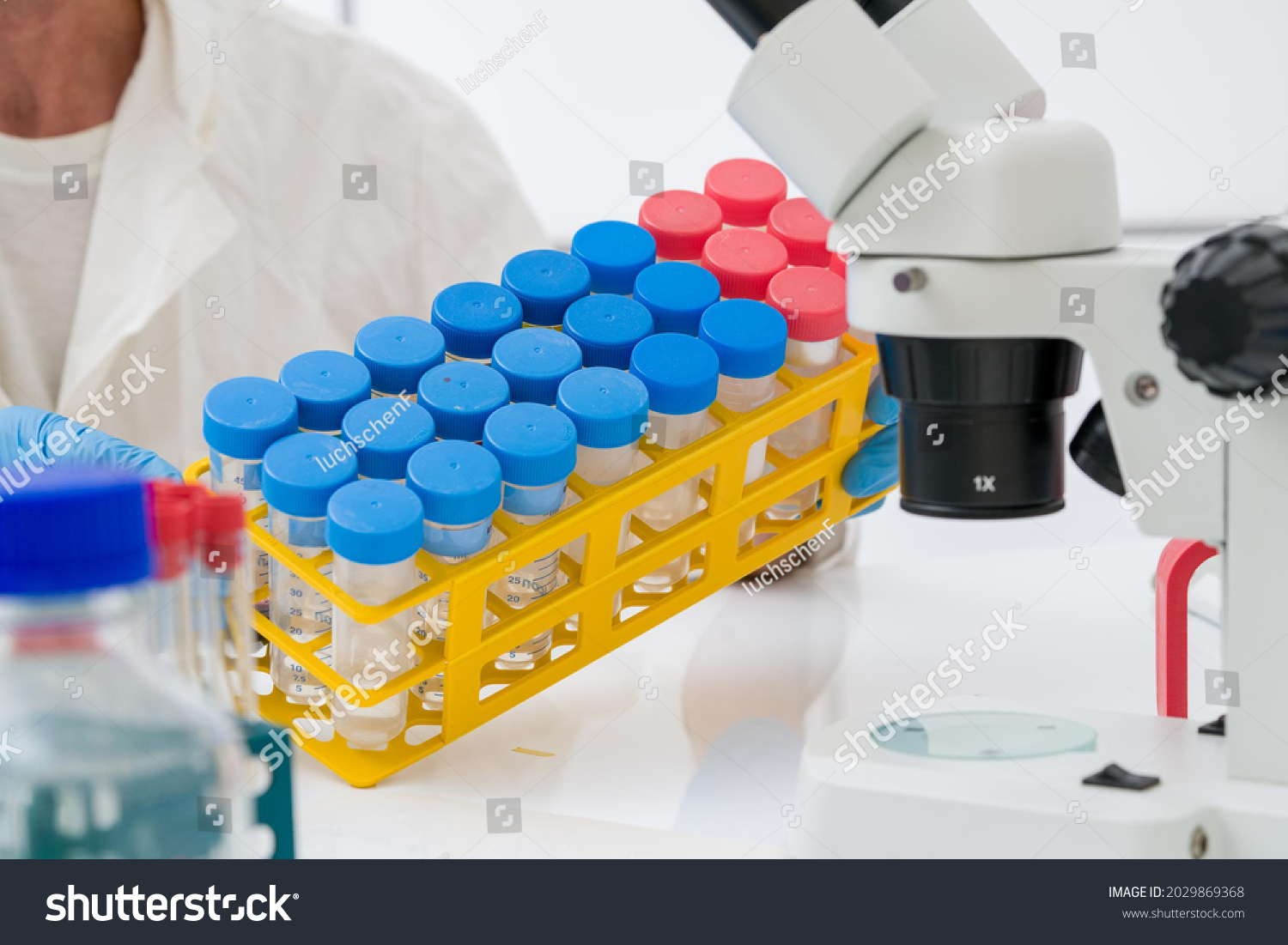 biochemistry experiments