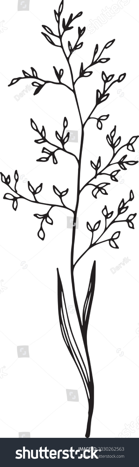 Wildflower Hand Drawn Line Art Linear Stock Vector (Royalty Free ...