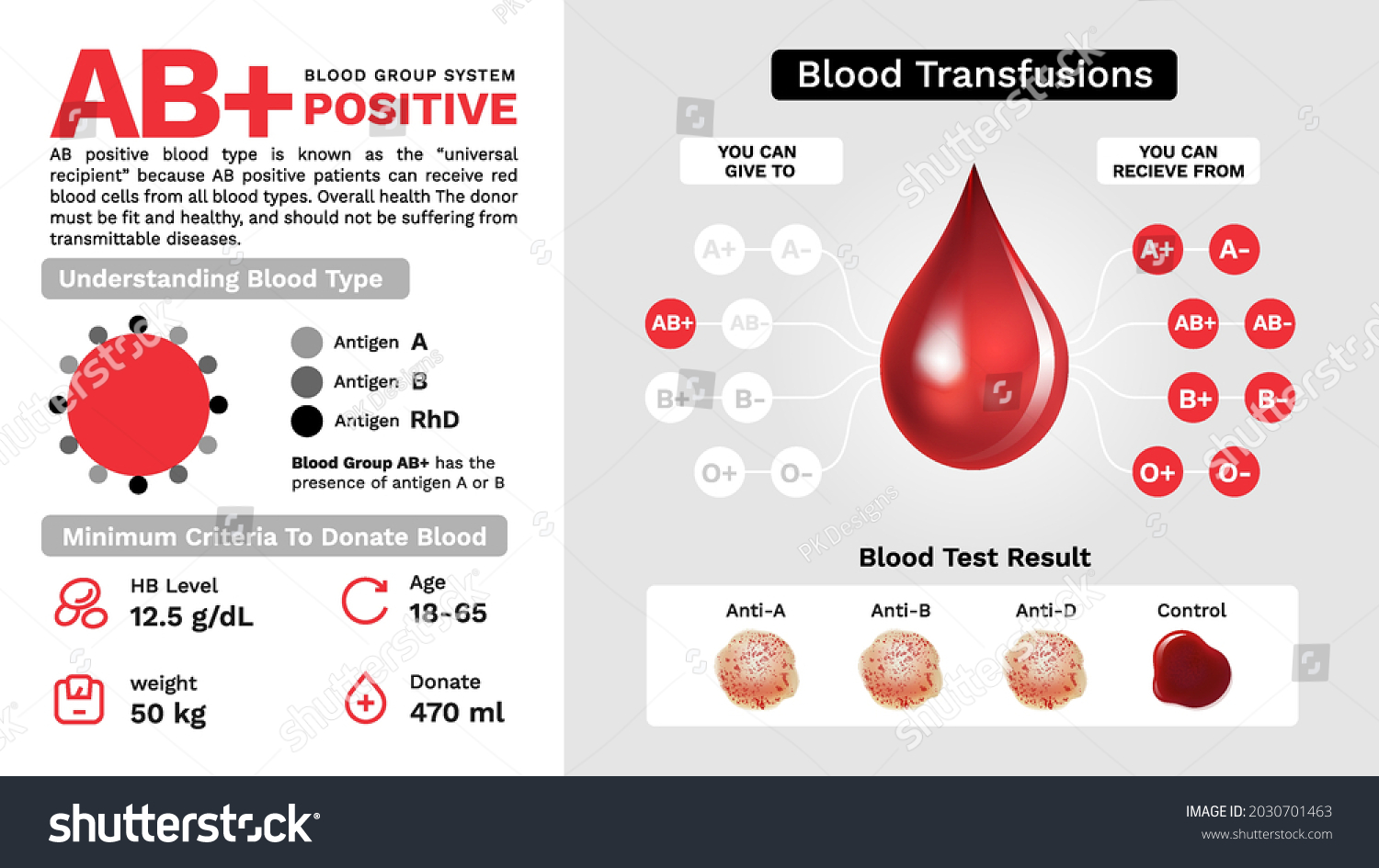 Ab Positive Blood Group Characteristics Additional Stock Vector ...