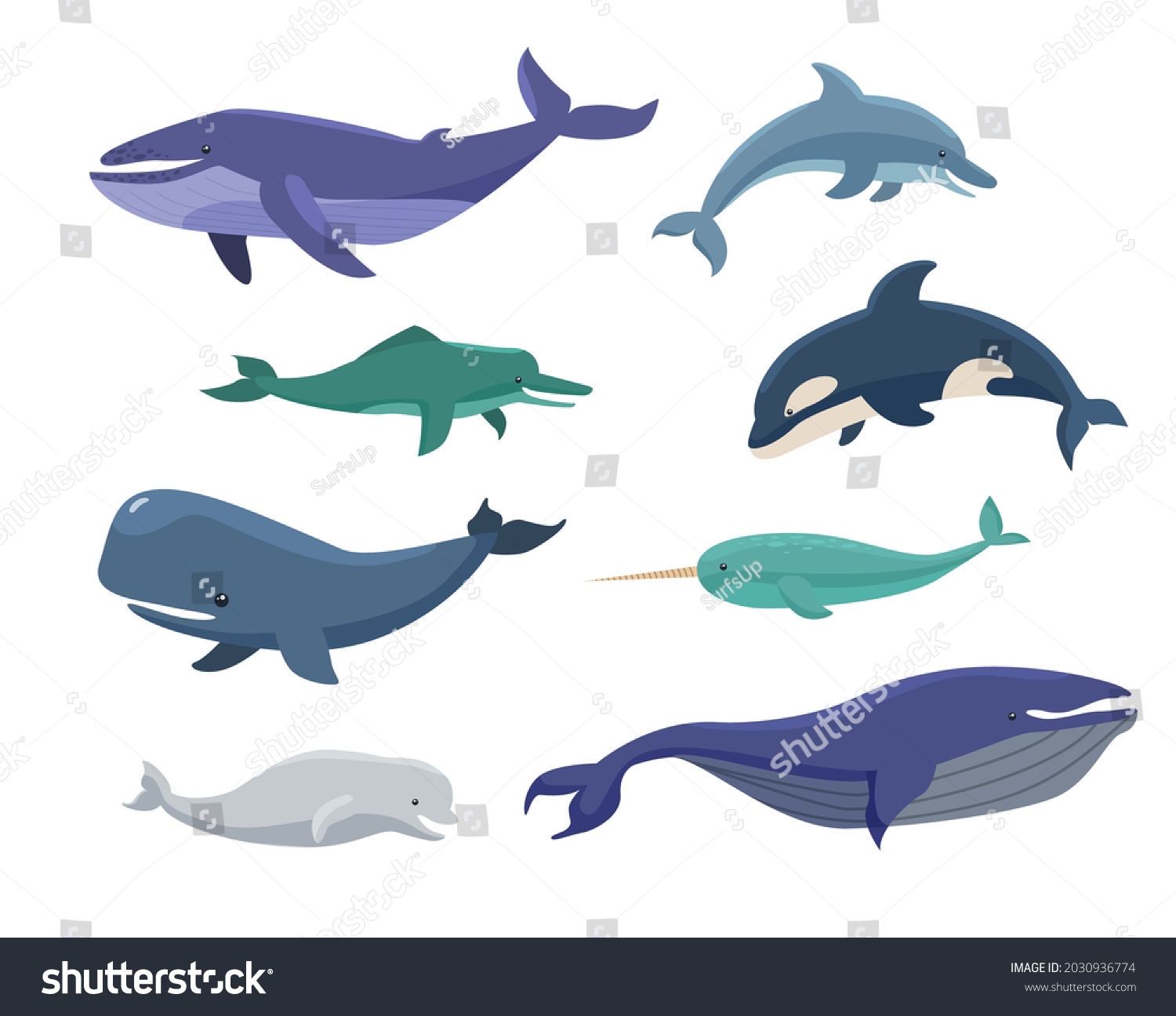 Whales Bowheads Narwhals Orcas Cartoon Illustration Stock Vector ...