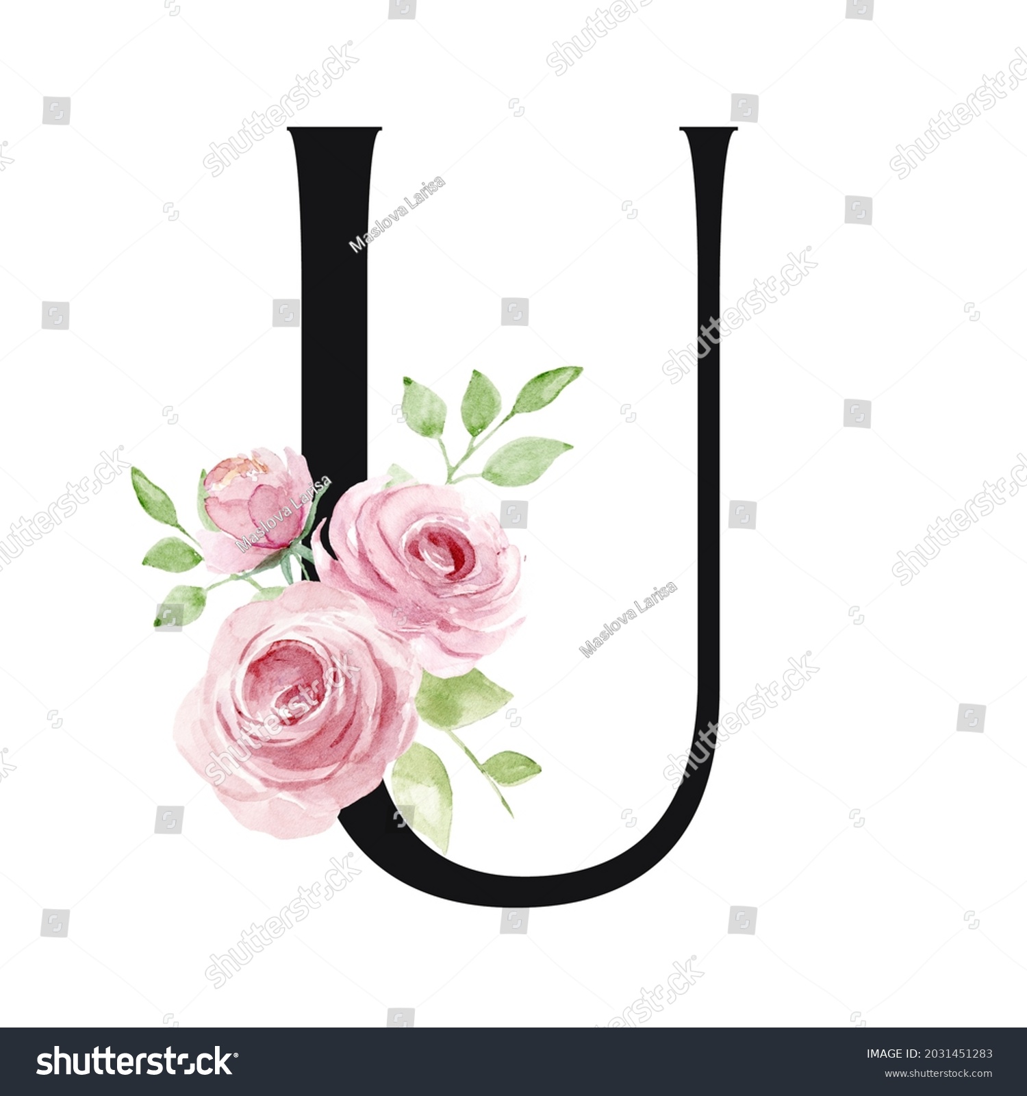 Alphabet Letter U Watercolor Flowers Leaf Stock Illustration 2031451283 