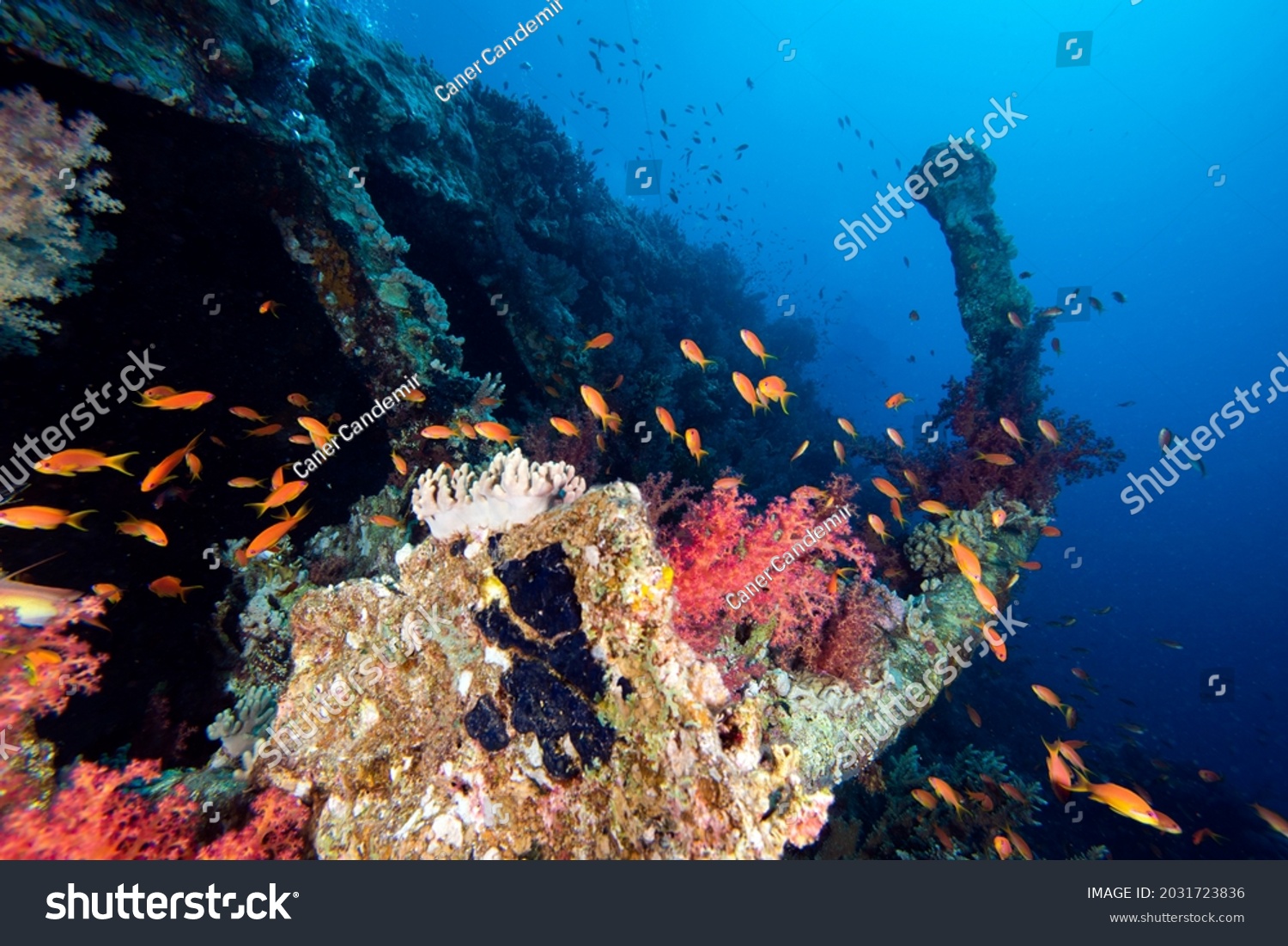 47 Carnatic Ship Wreck Images, Stock Photos & Vectors | Shutterstock