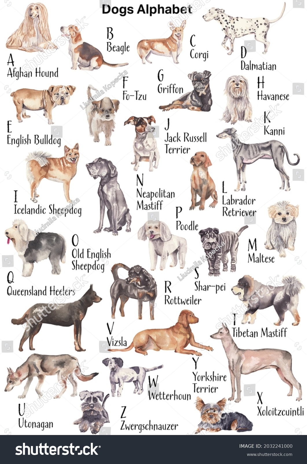 Dog Alphabet Chart Art Print Dog Illustration, Dog Breeds,, 47% OFF