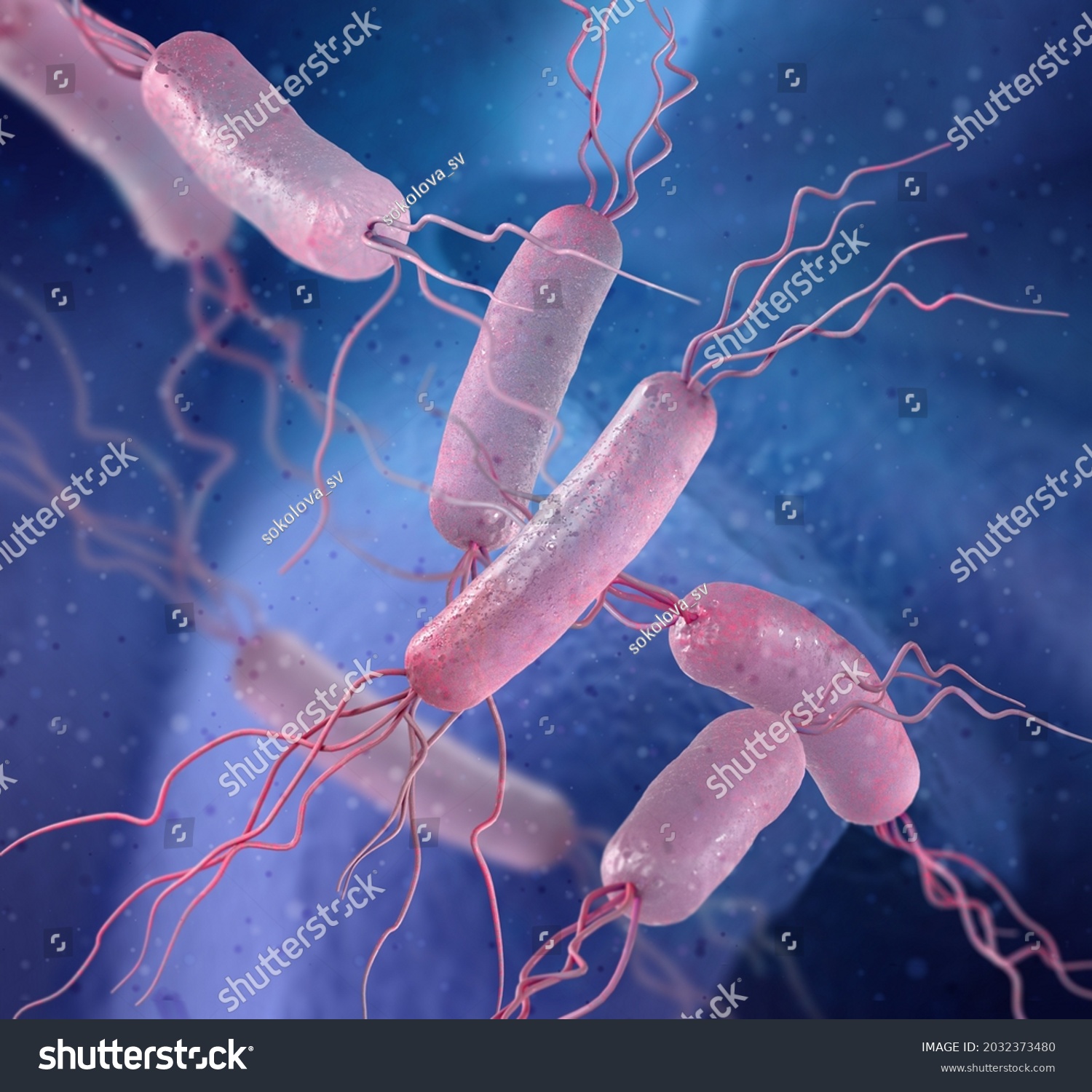 Medical Background Amphitrichous Bacteria Two Flagella Stock ...