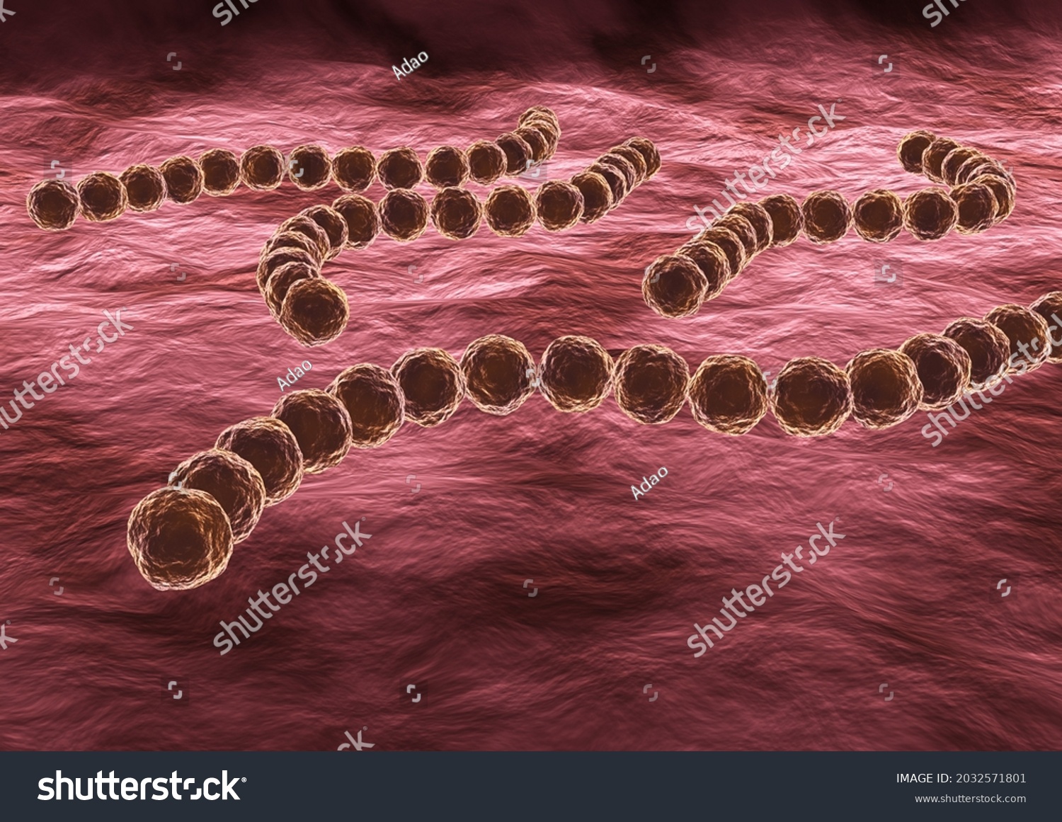 Streptococcus Pyogenes Highly Infectious Pathogenic Bacterium Stock ...