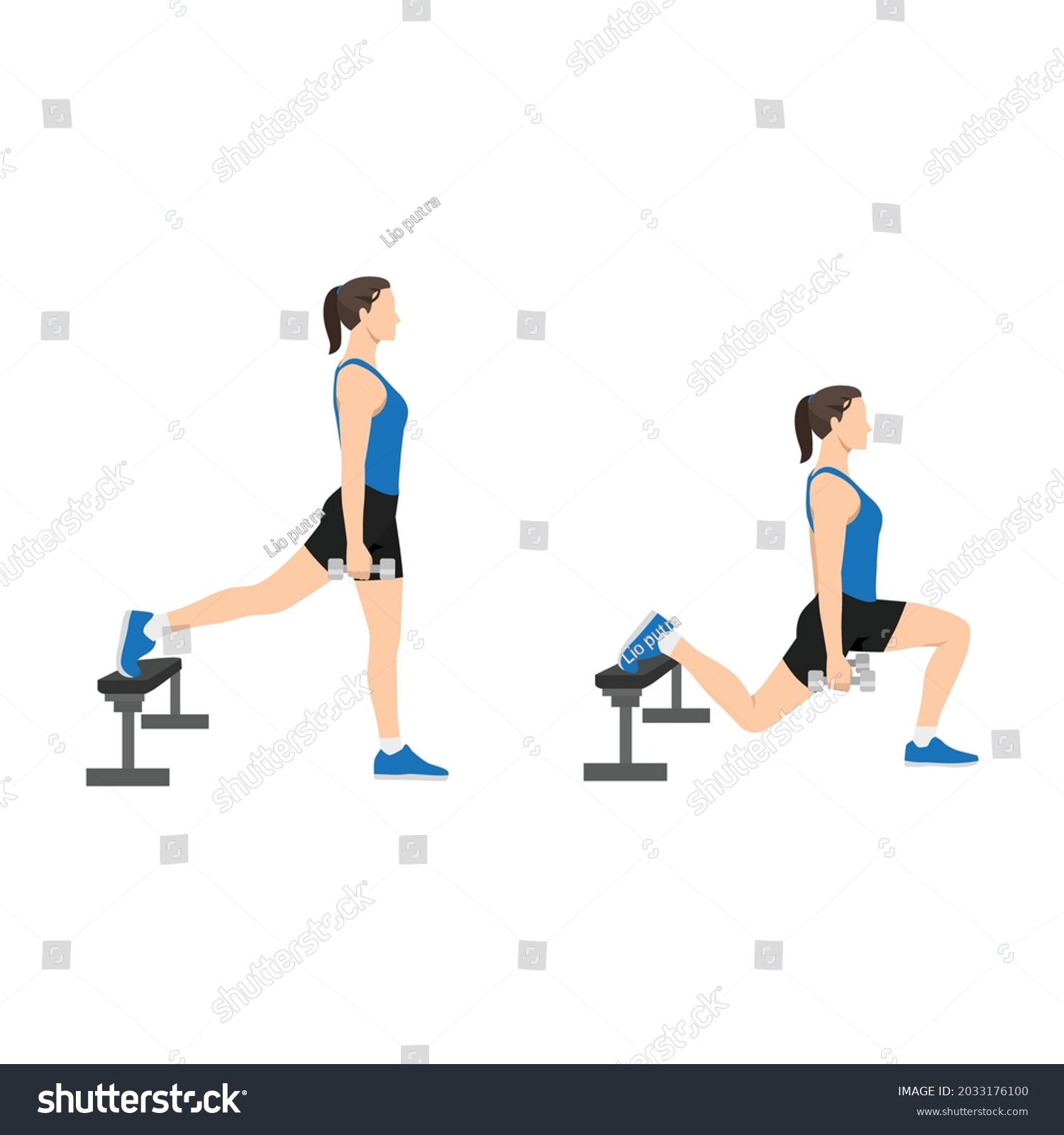 Woman Doing Bulgarian Split Squats Exercise Stock Vector (Royalty Free ...