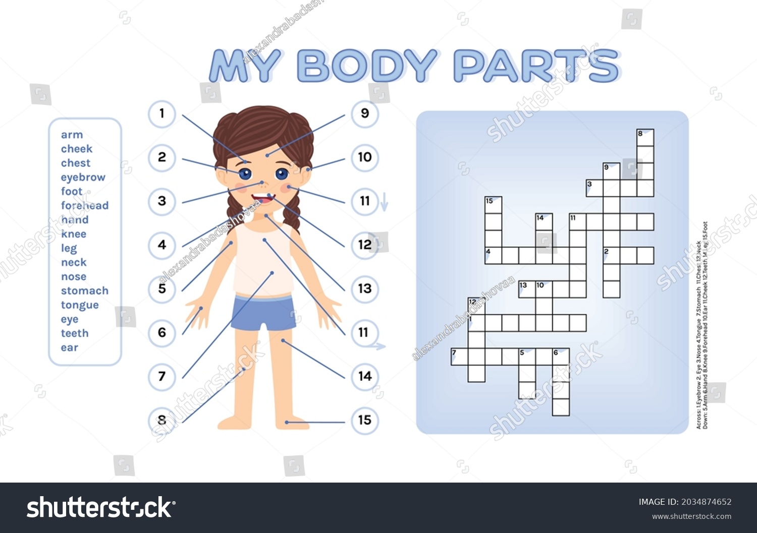 My parts. Body Parts crossword. Body Parts crossword Puzzle.