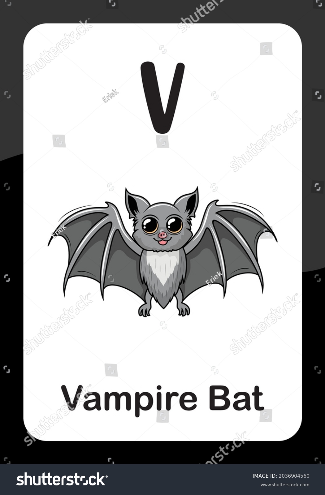 Animal Alphabet Flash Card V Vampire Stock Vector (Royalty Free ...