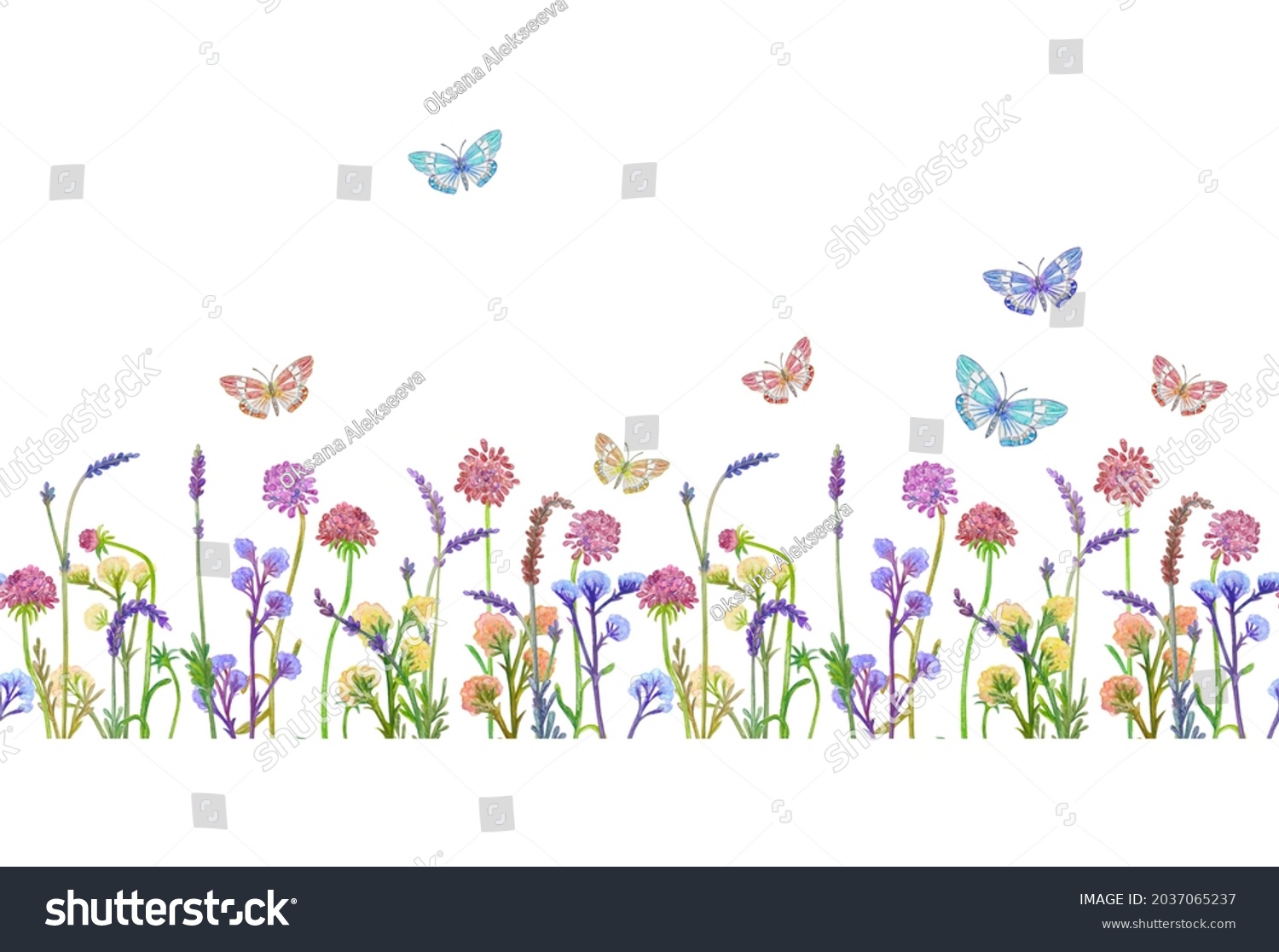 Seamless Texture Isolated Border Meadow Wild Stock Illustration ...