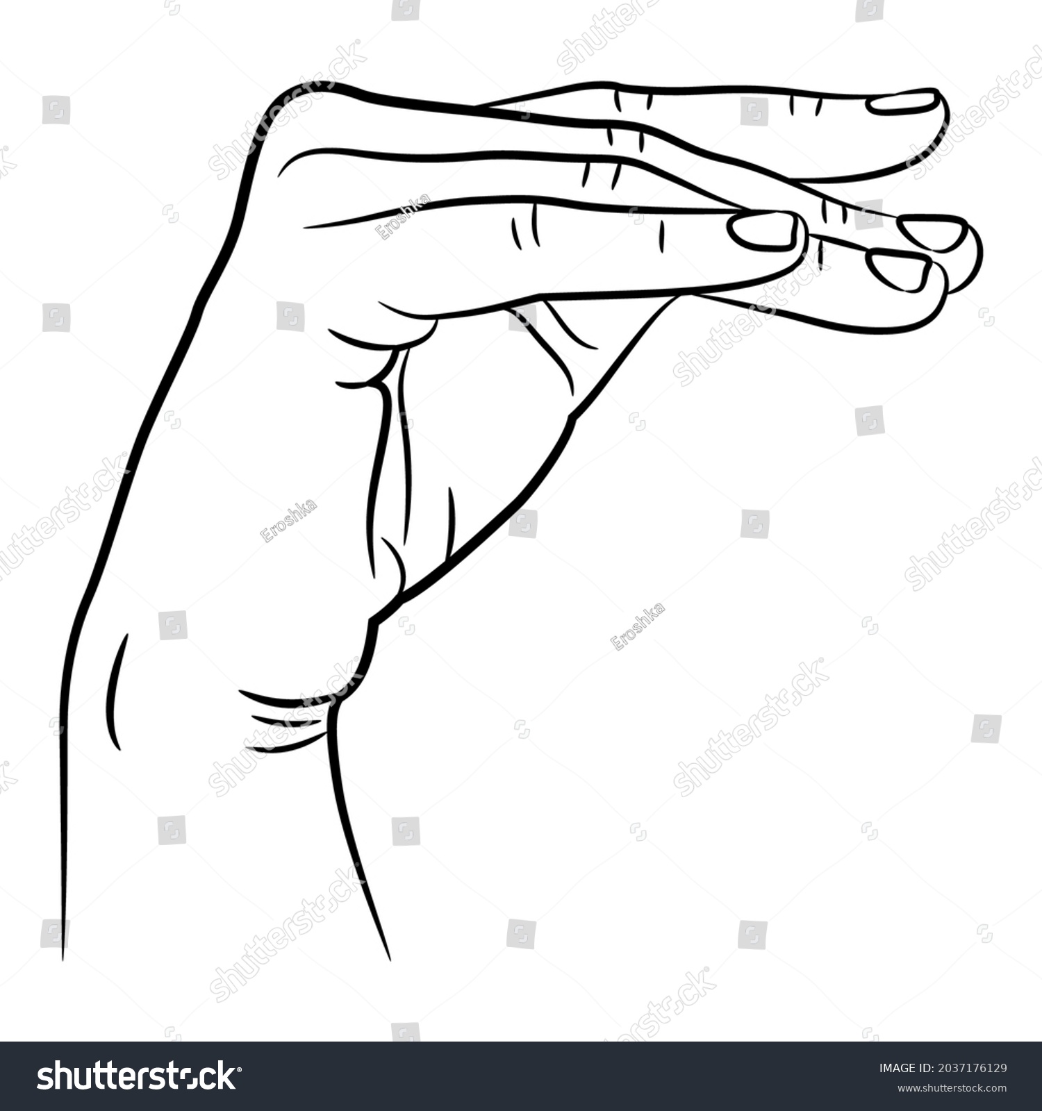 Human Hand Elegant Gesture Bent Fingers Stock Vector (Royalty Free ...