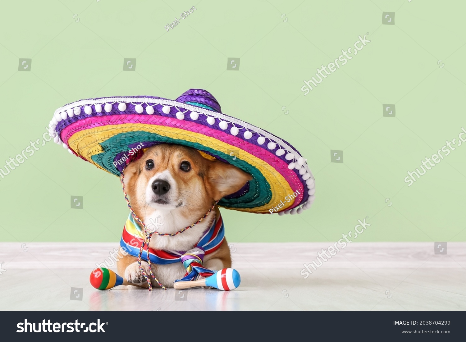 sombrero for dogs