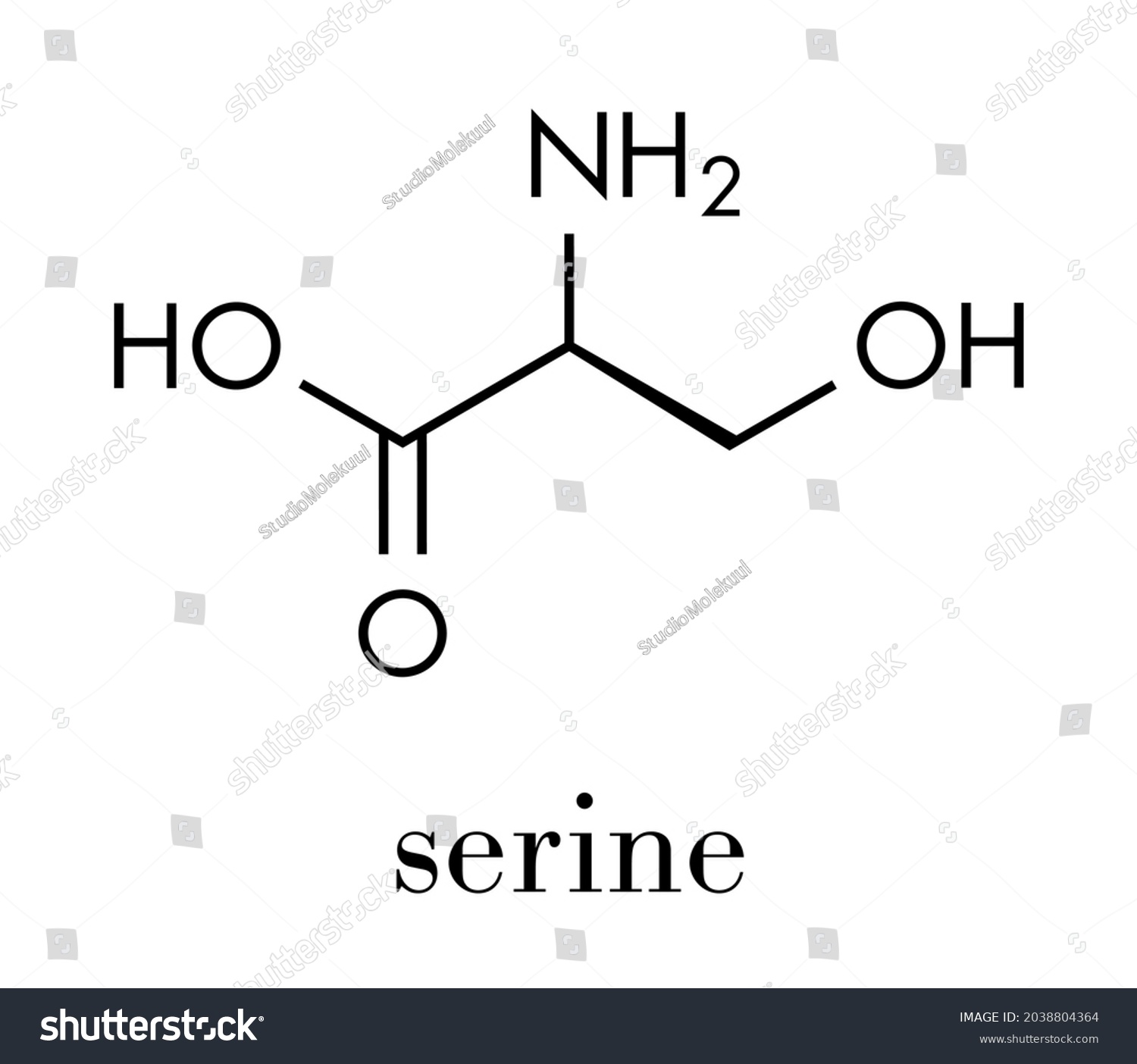 Serine Lserine Ser S Amino Acid Stock Vector (Royalty Free) 2038804364 ...