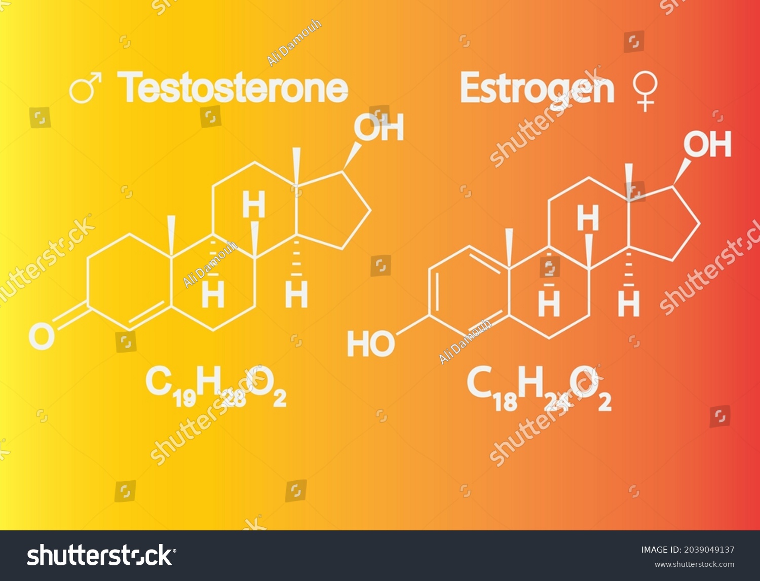 Humain Sex Hormones Molecular Formula Estrogen Stock Vector Royalty Free 2039049137 Shutterstock 7716