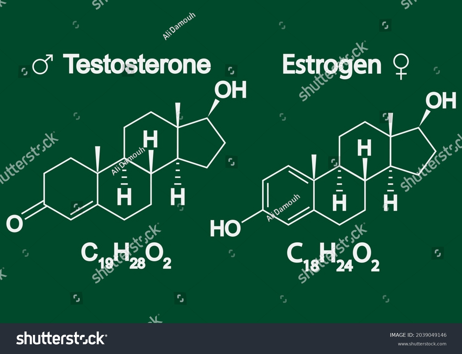 Humain Sex Hormones Molecular Formula Estrogen Stock Vector Royalty