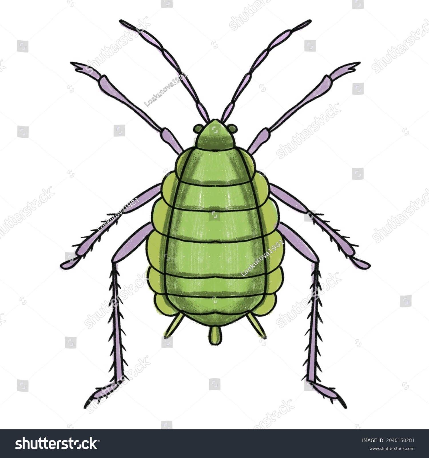 Drawing Bug Illustration Stock Illustration 2040150281 Shutterstock 5299