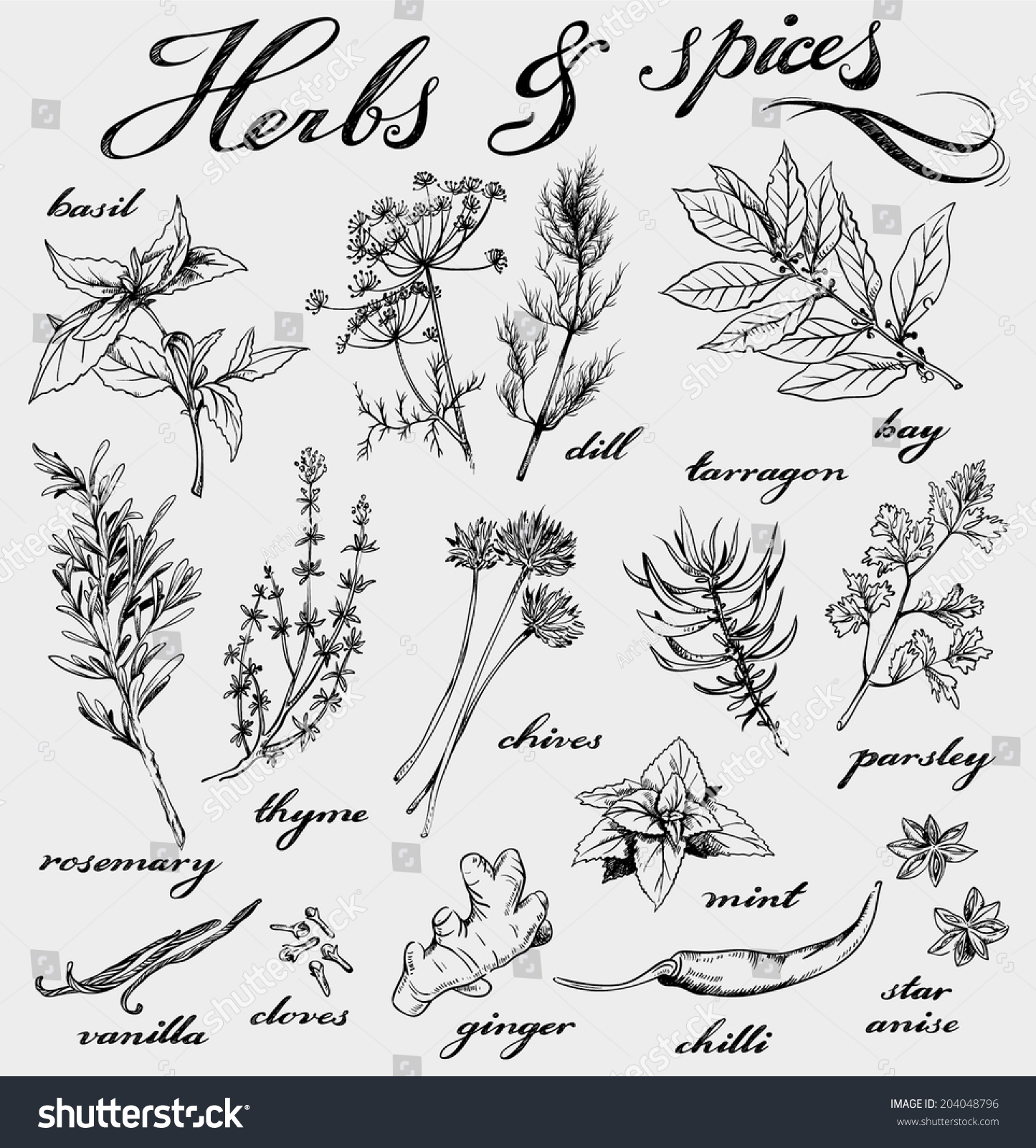 Herbs Sketches Clip Art Set Daily Art Hub Graphics Al - vrogue.co