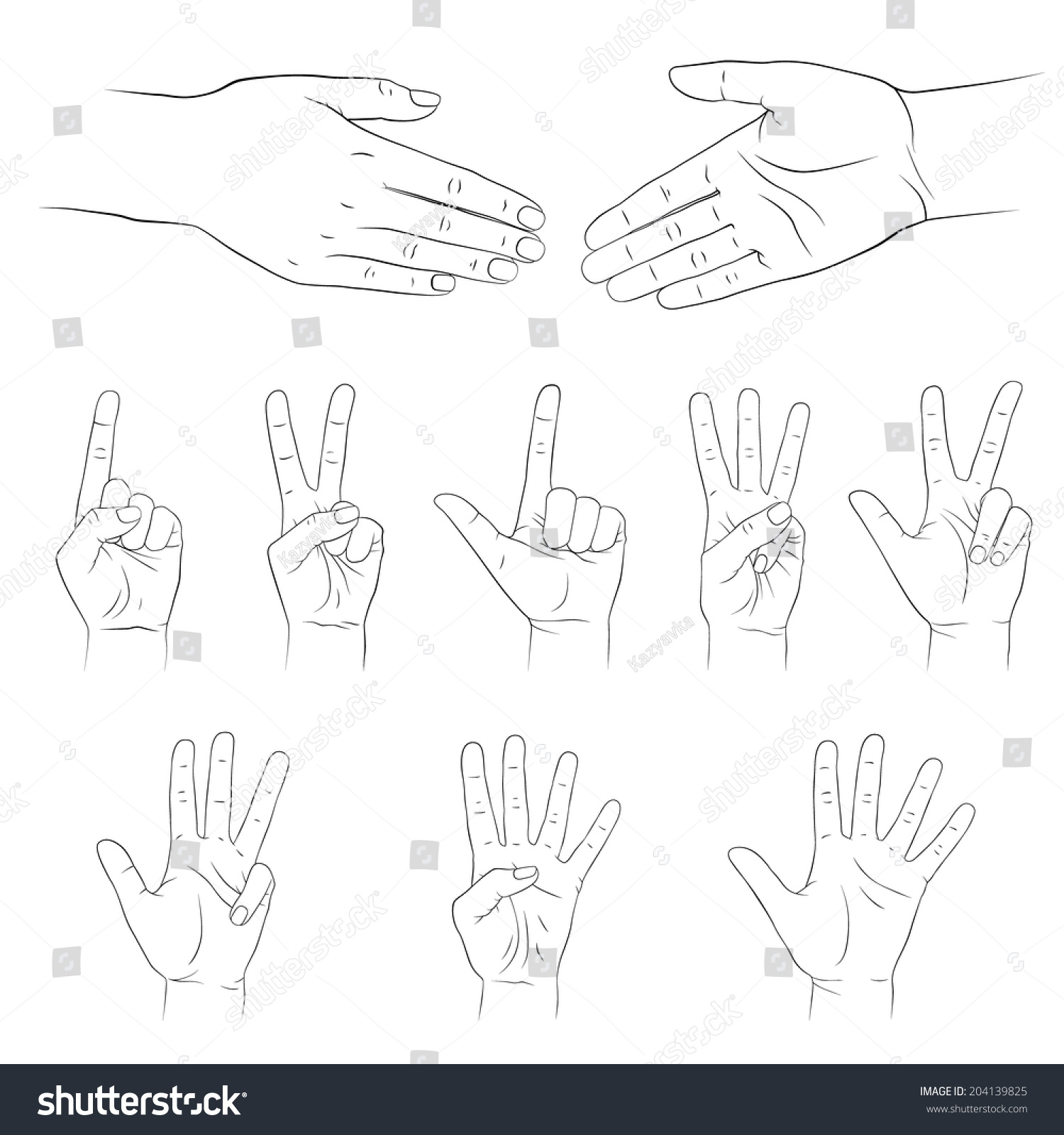 Hands Set Count Vector Illustration Isolated Stock Vector (Royalty Free ...