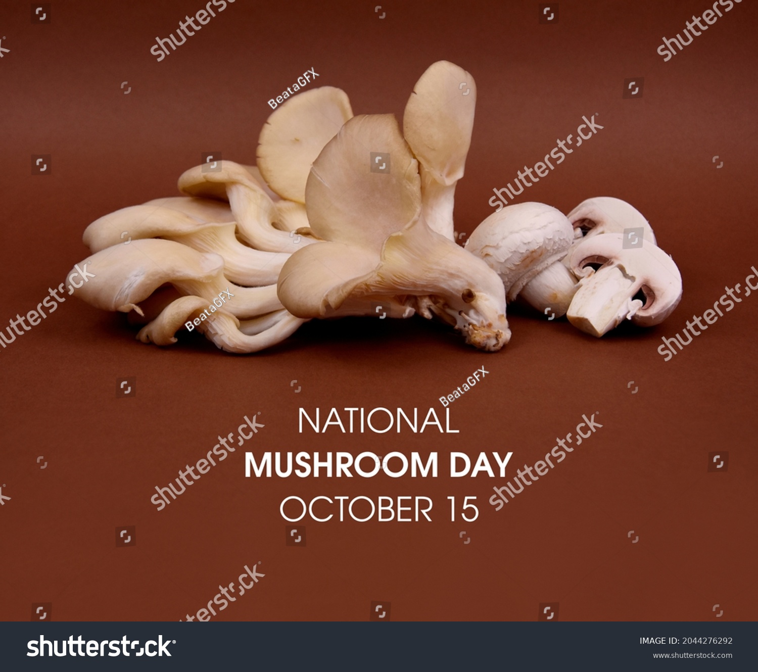 1,648 imágenes de National mushroom day Imágenes, fotos y vectores de