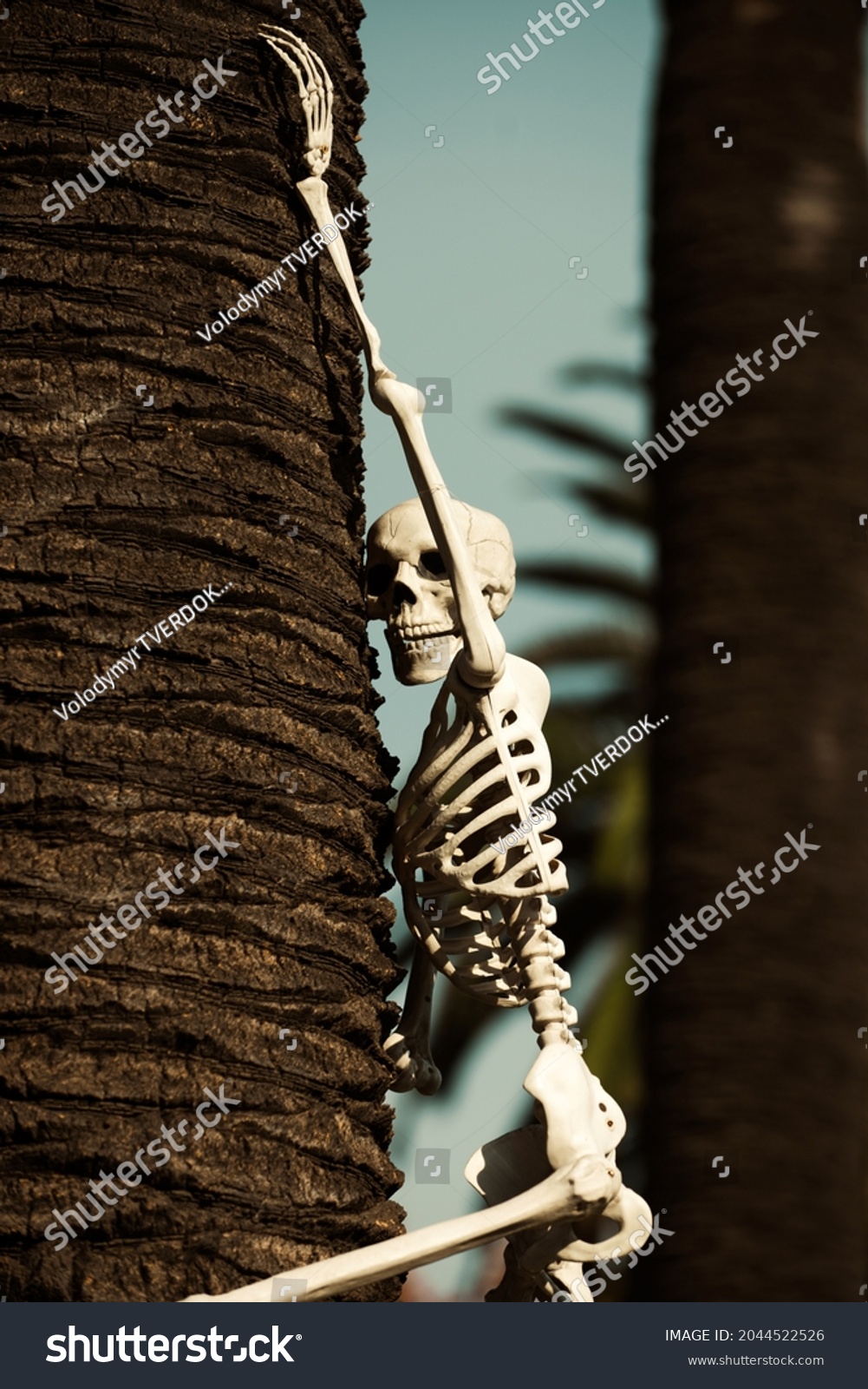 1,015 Tree haloween Images, Stock Photos & Vectors | Shutterstock