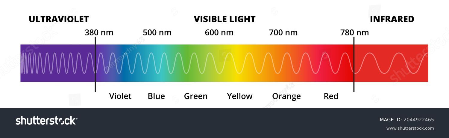 Vector Diagram Visible Light Spectrum Visible Stock Vector (Royalty ...