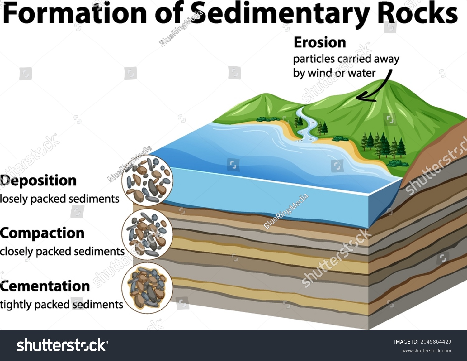 Formation Sedimentary Rocks Illustration Stock Vector (Royalty Free ...